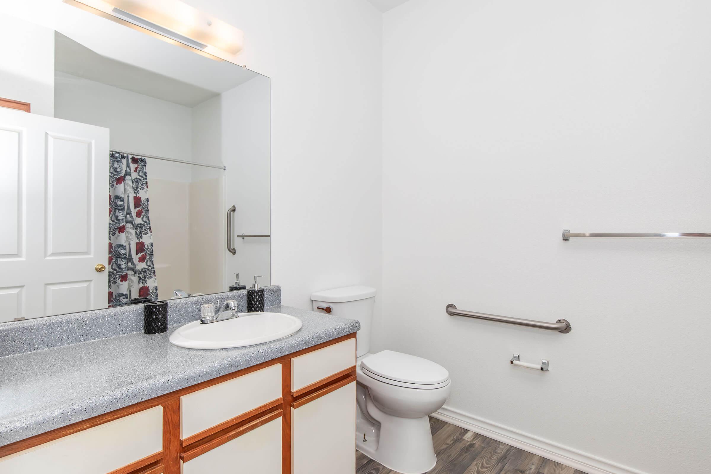 A clean and modern bathroom featuring a white vanity with a sink, a large mirror, a toilet, and grab bars for accessibility. The shower area is partially visible with a patterned curtain. The walls are painted white, and the flooring has a light wood appearance.
