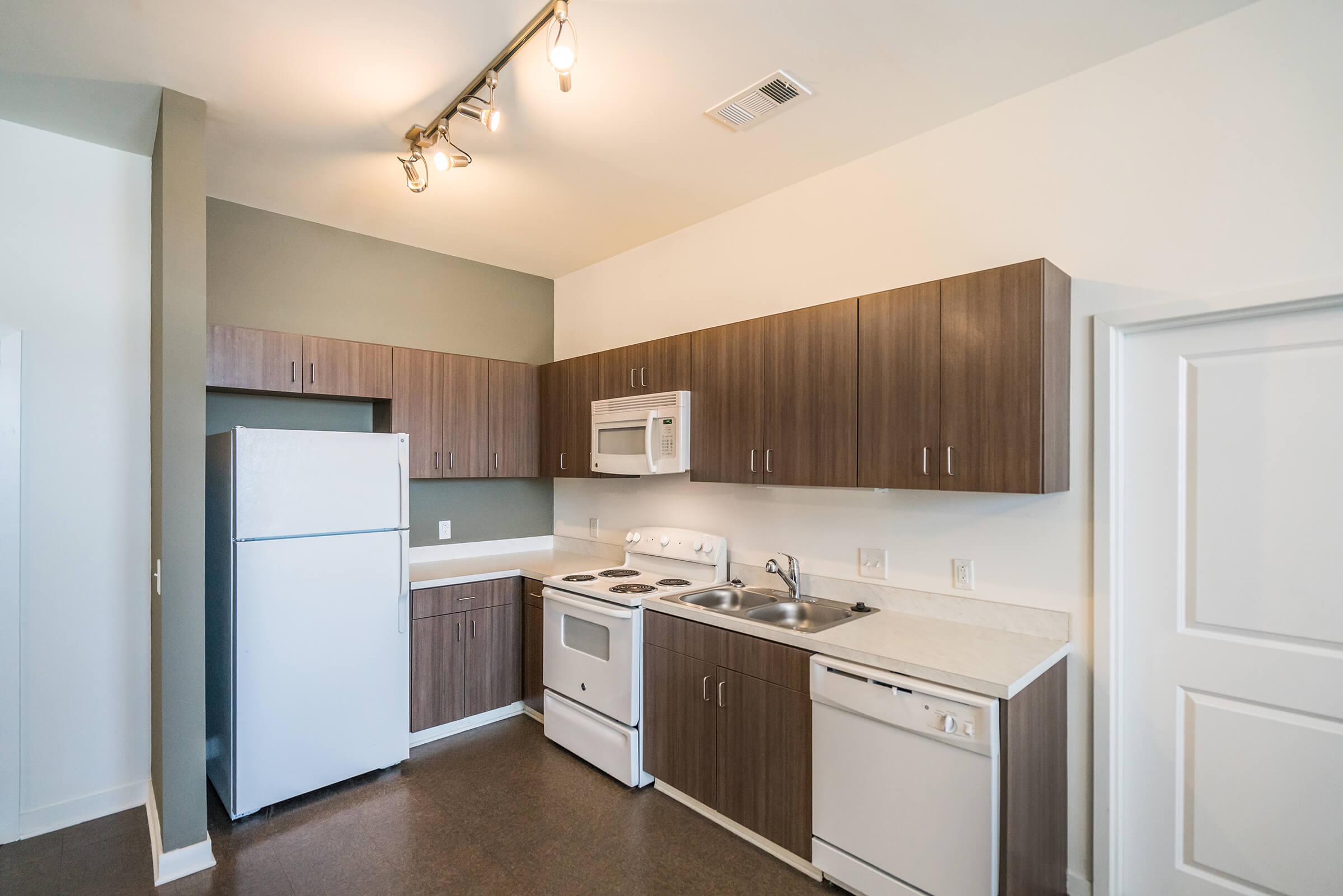 All-electric Kitchens at 715 Woodland