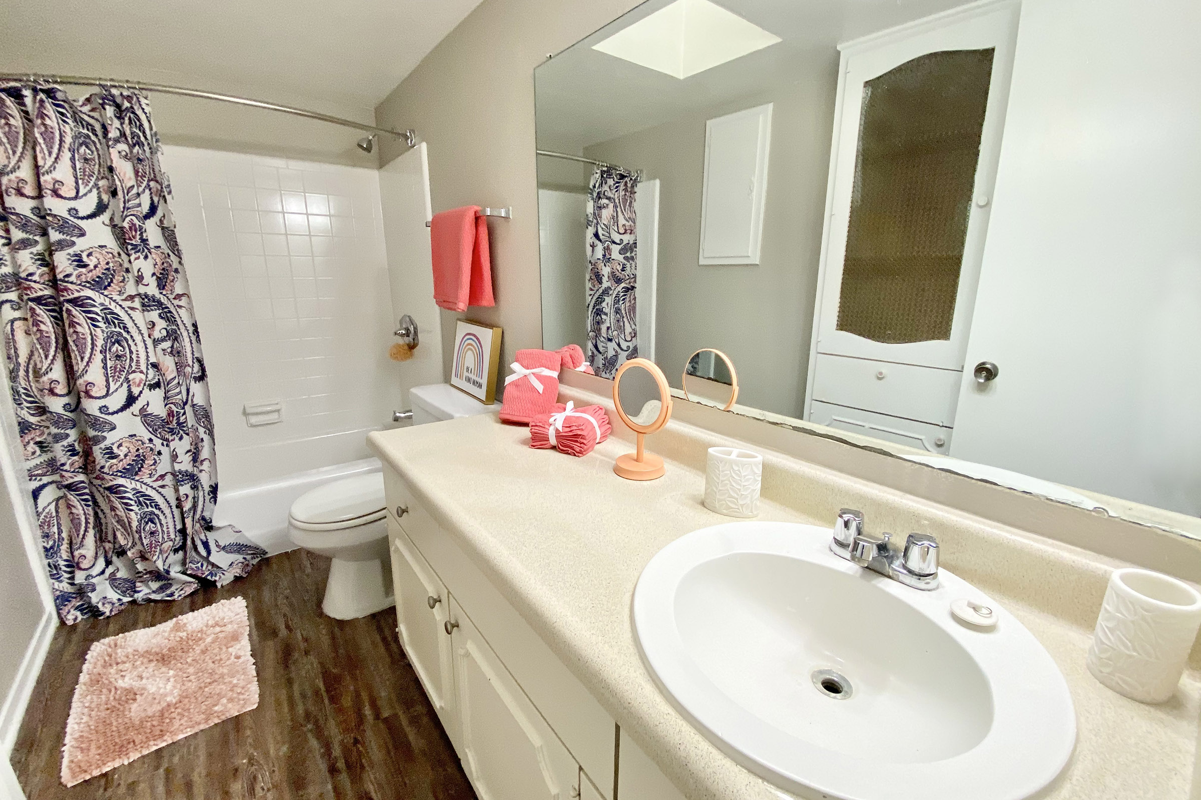 a sink and a mirror