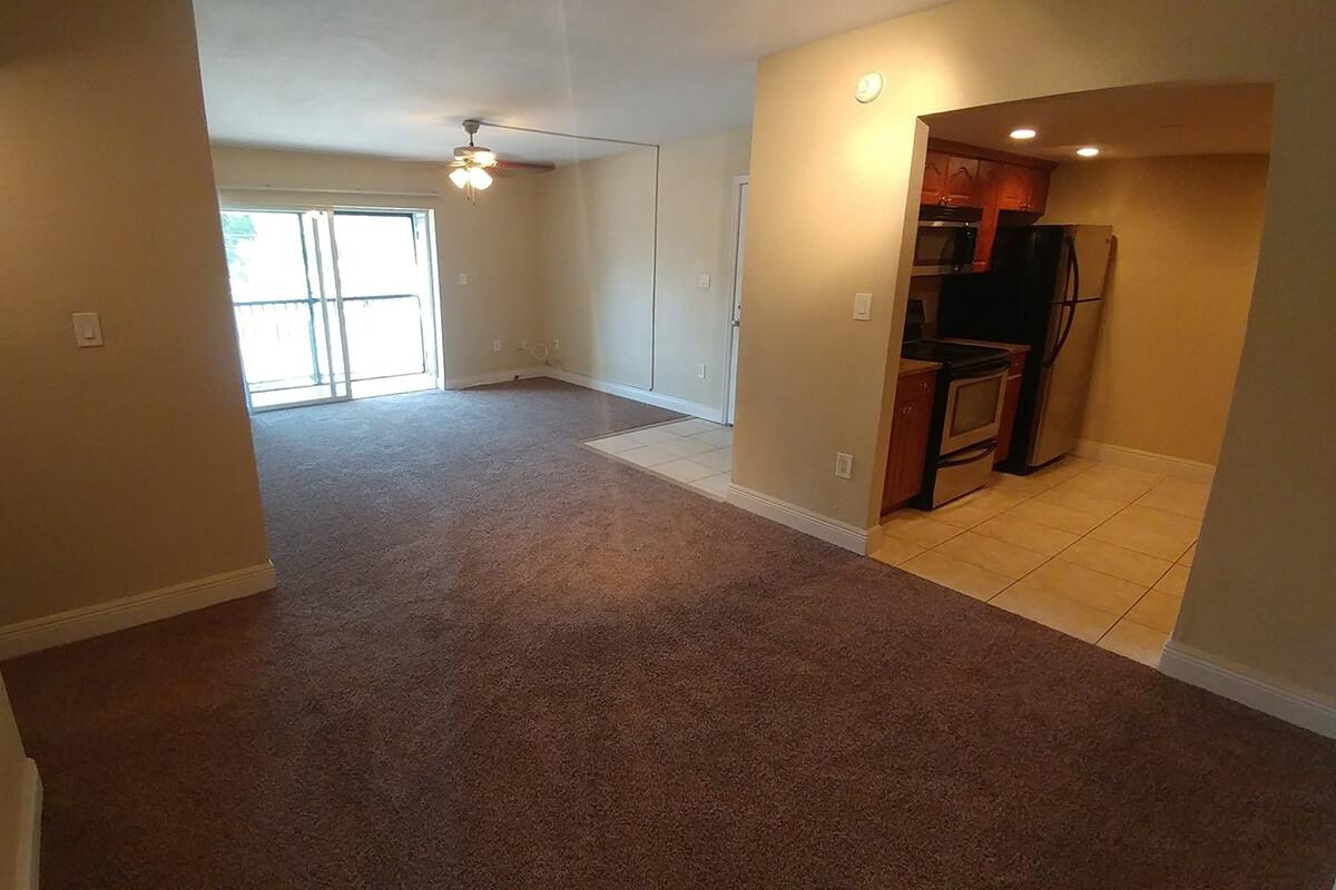 seastone-luxury-apartments-tampa-fl-building-photo (8).jpg