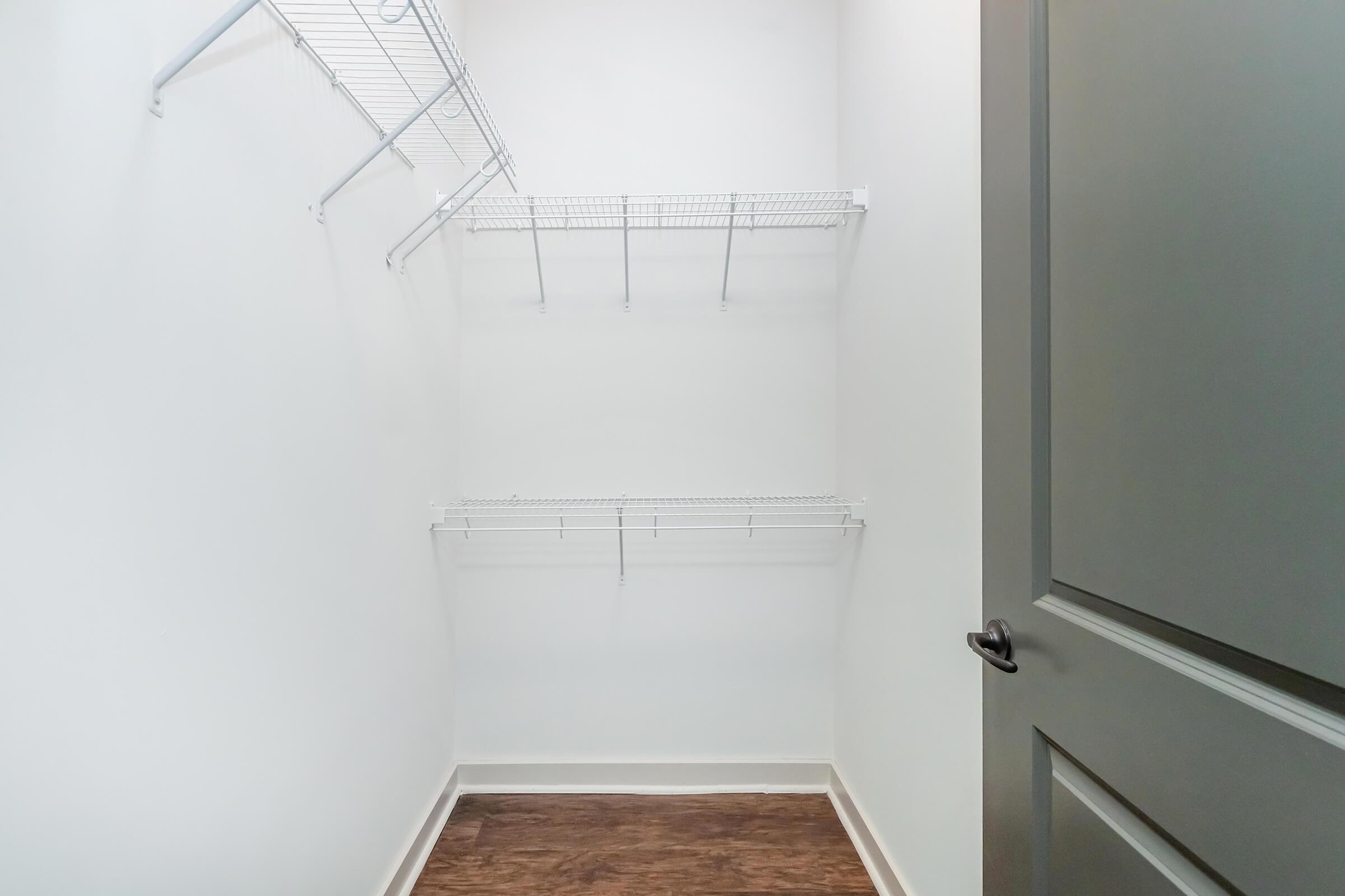 Bedroom 2 walk-in closet with shelving