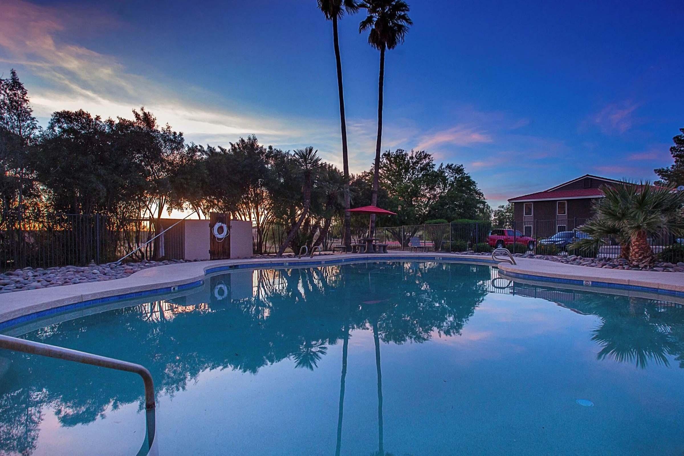 a row of palm trees next to a pool of water