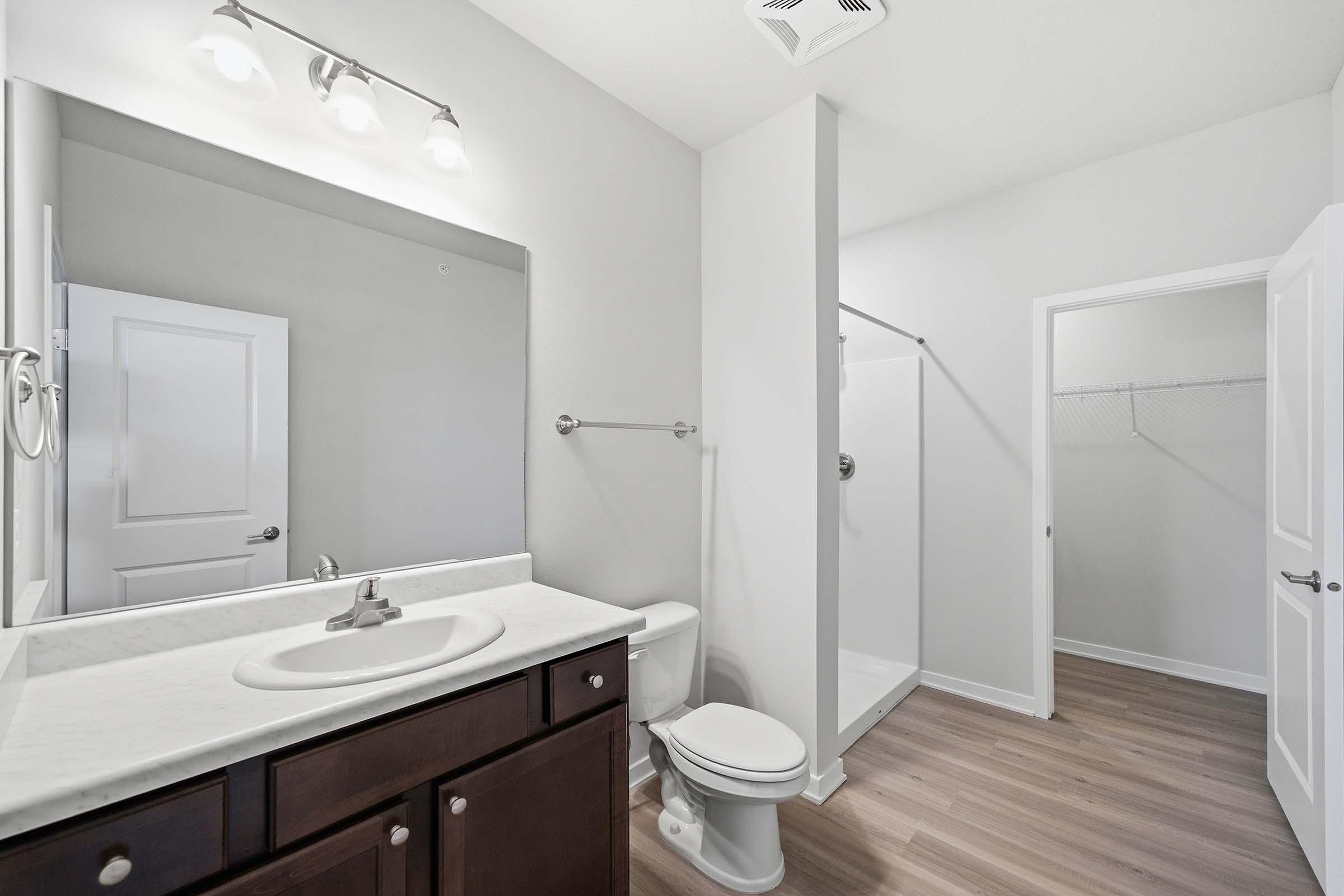 Modern bathroom featuring a white vanity with a sink, a large mirror above, a toilet, and a walk-in shower. The walls are painted light gray, and the flooring is a wood-style laminate. A door leads to a small closet space, and overhead lighting is provided by a fixture with three bulbs.