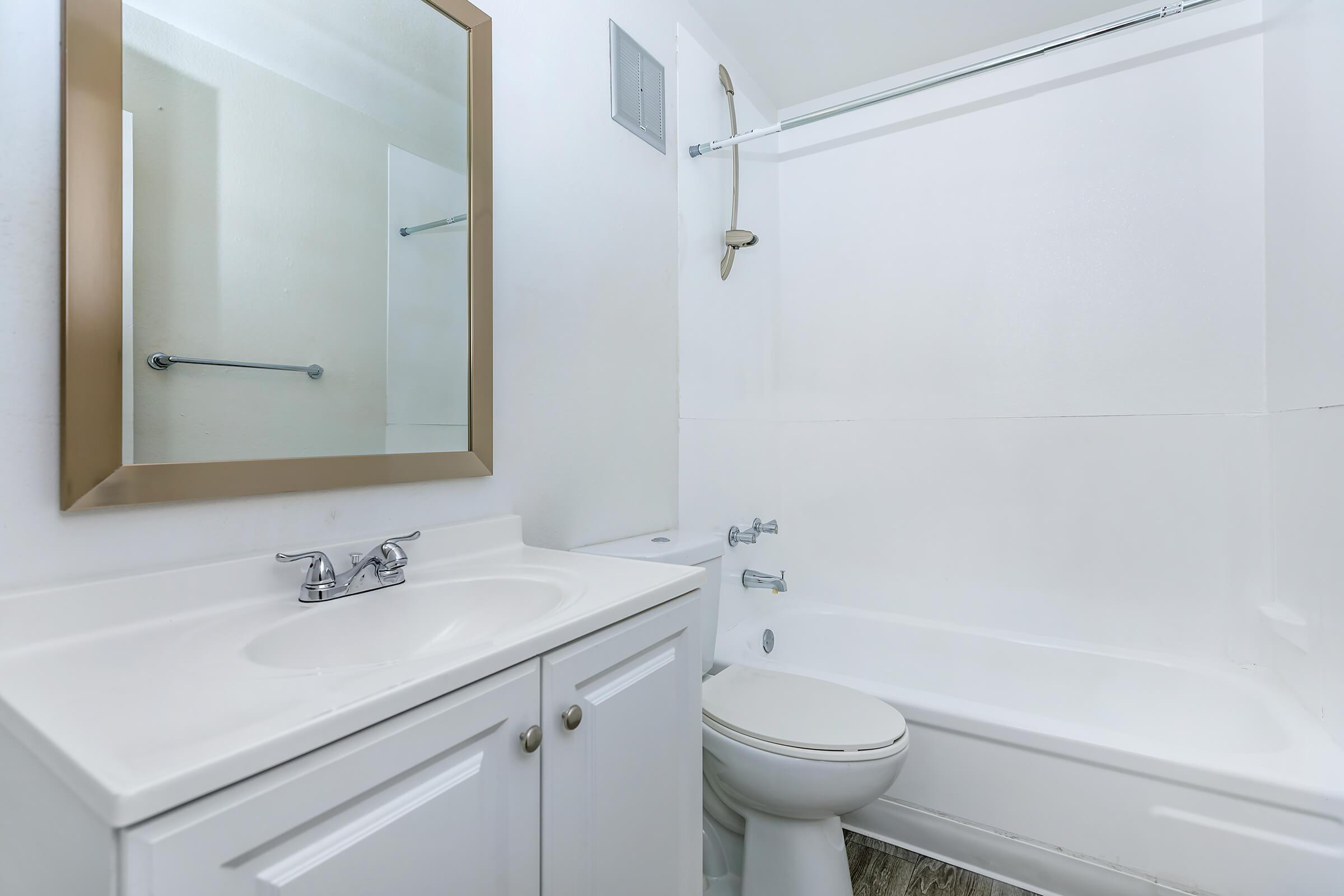 a shower that has a sink and a mirror