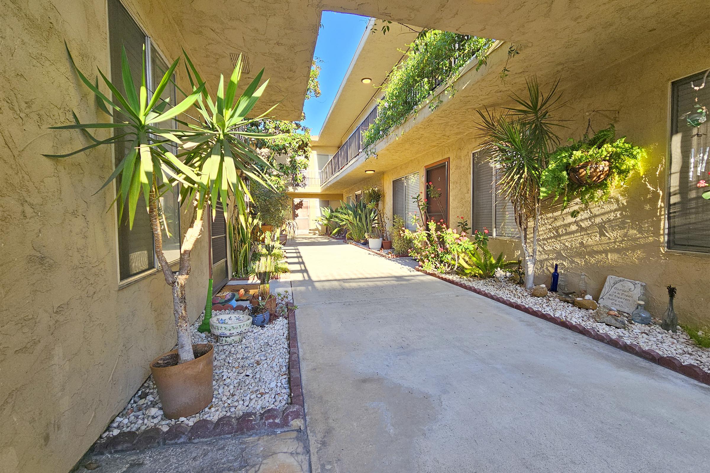 A sunny pathway between two buildings with a smooth concrete surface. Lush greenery adorns the sides, including potted plants and decorative stone elements. Sunlight casts shadows, creating a warm, inviting atmosphere in this outdoor space.