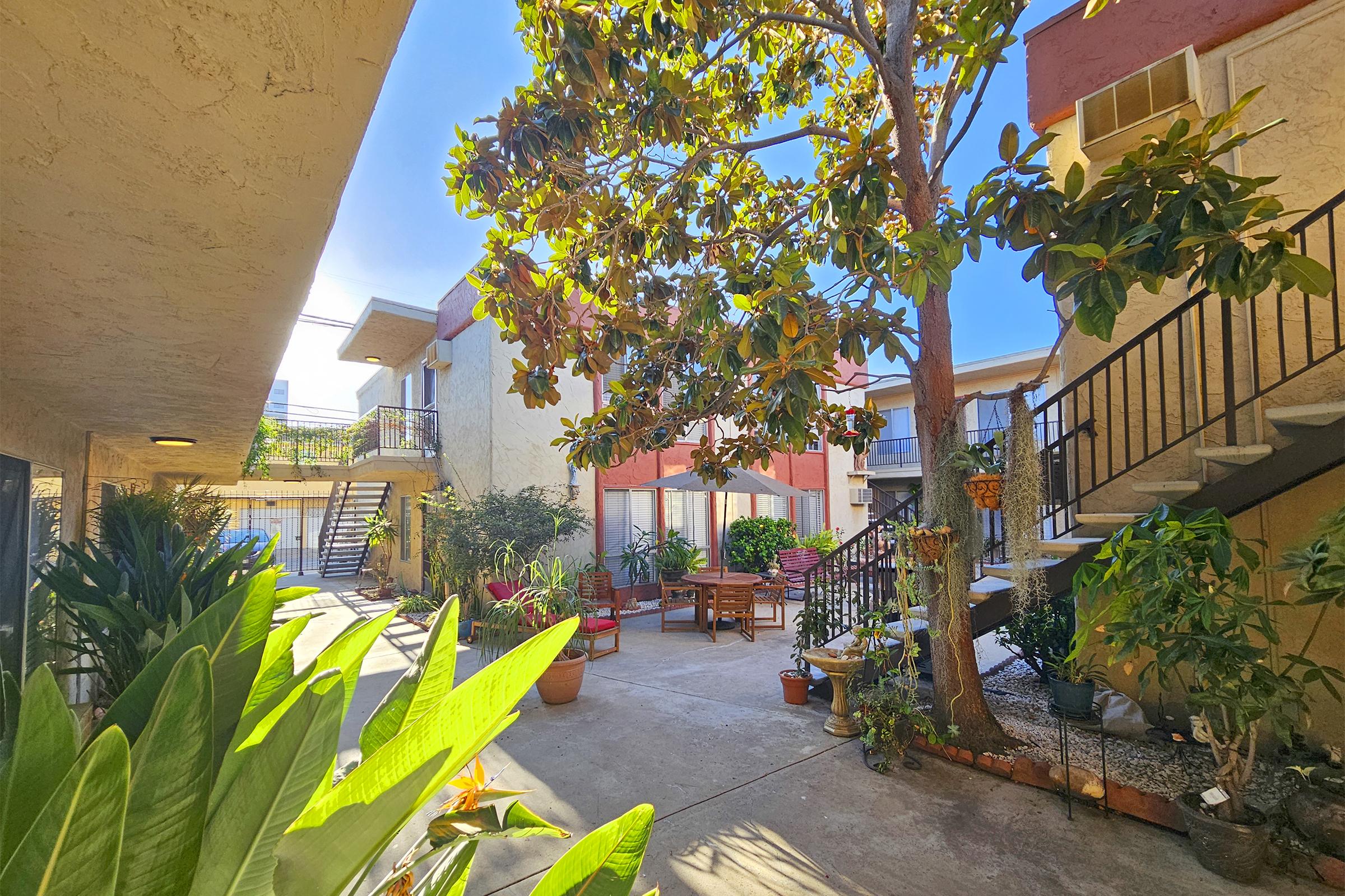 A sunny courtyard surrounded by buildings, featuring stairs, potted plants, and outdoor seating. A large tree provides shade, and vibrant greenery enhances the inviting atmosphere of the space.