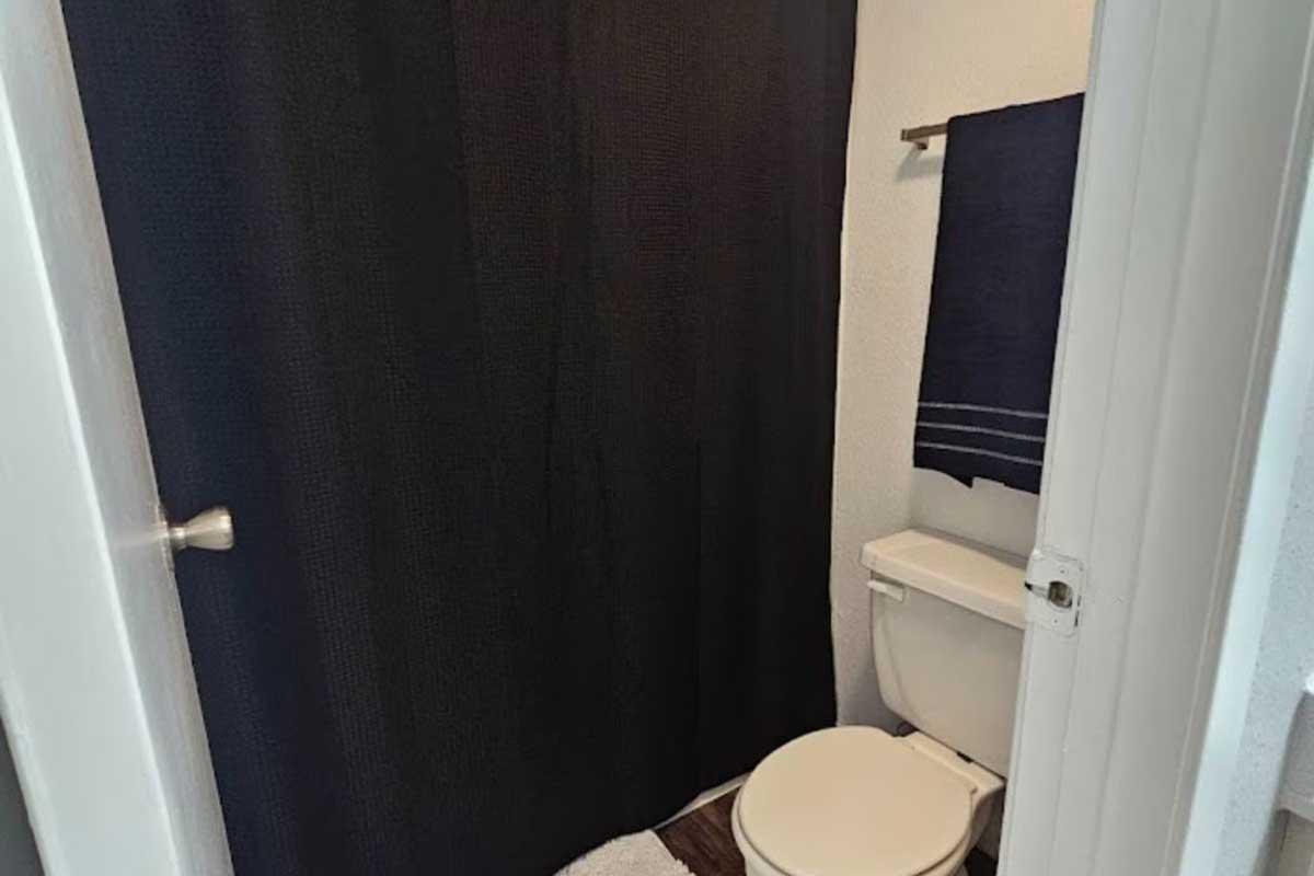 A small bathroom featuring a toilet, a shower with a black curtain, a navy blue towel hanging on the wall, and a light-colored rug on the floor, all set against a white wall. The door is slightly open, providing a view into the space.