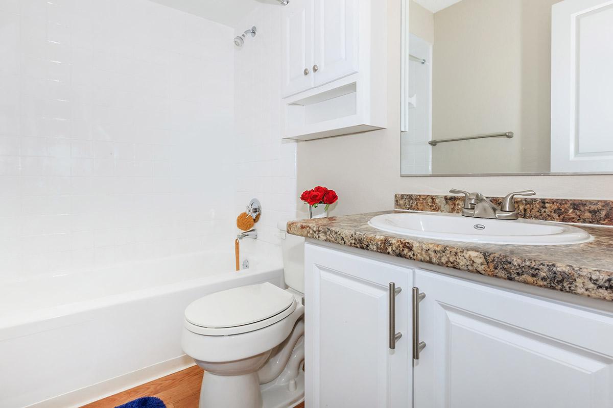a kitchen with a sink and a mirror