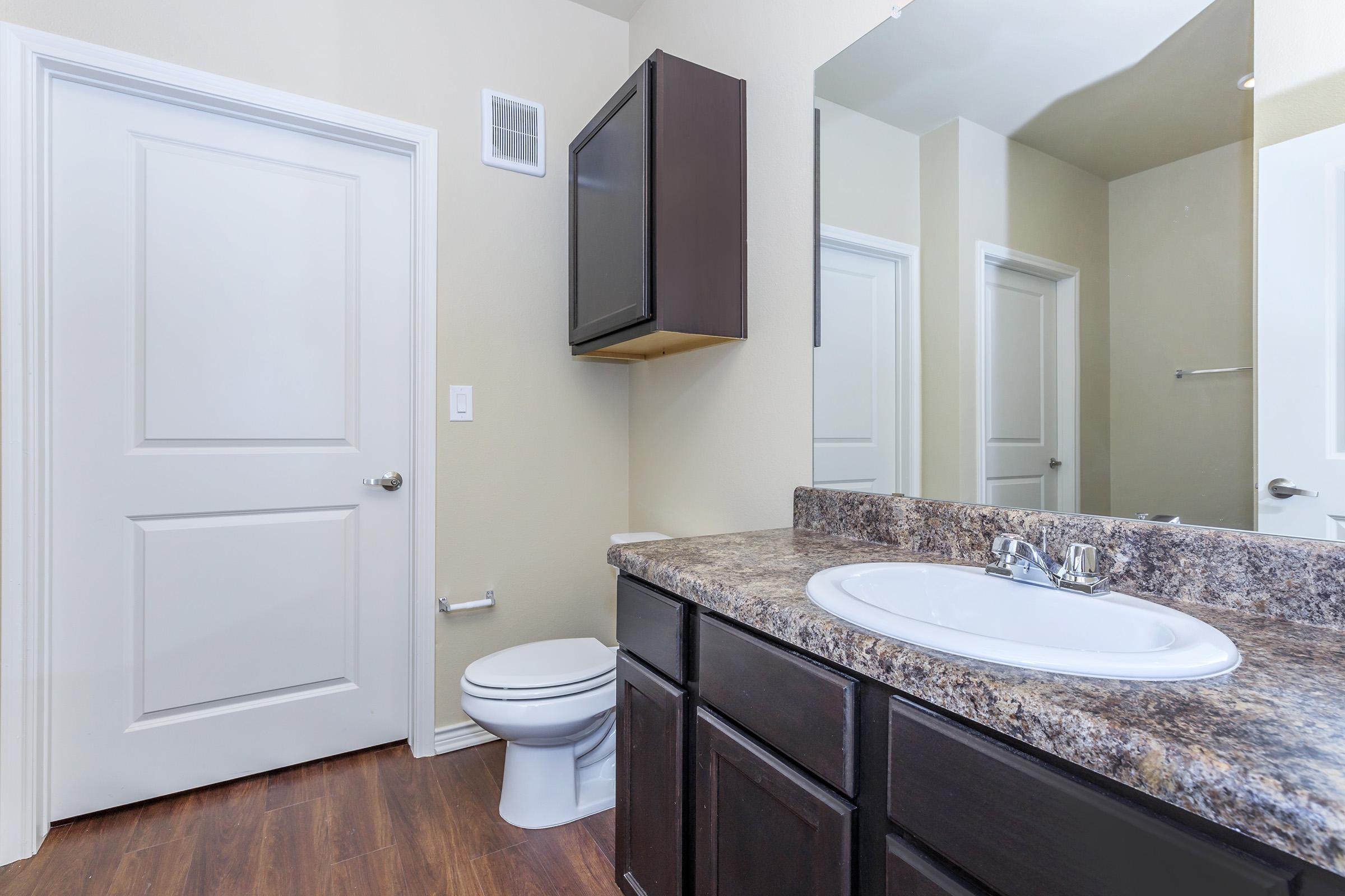 a double sink and large mirror