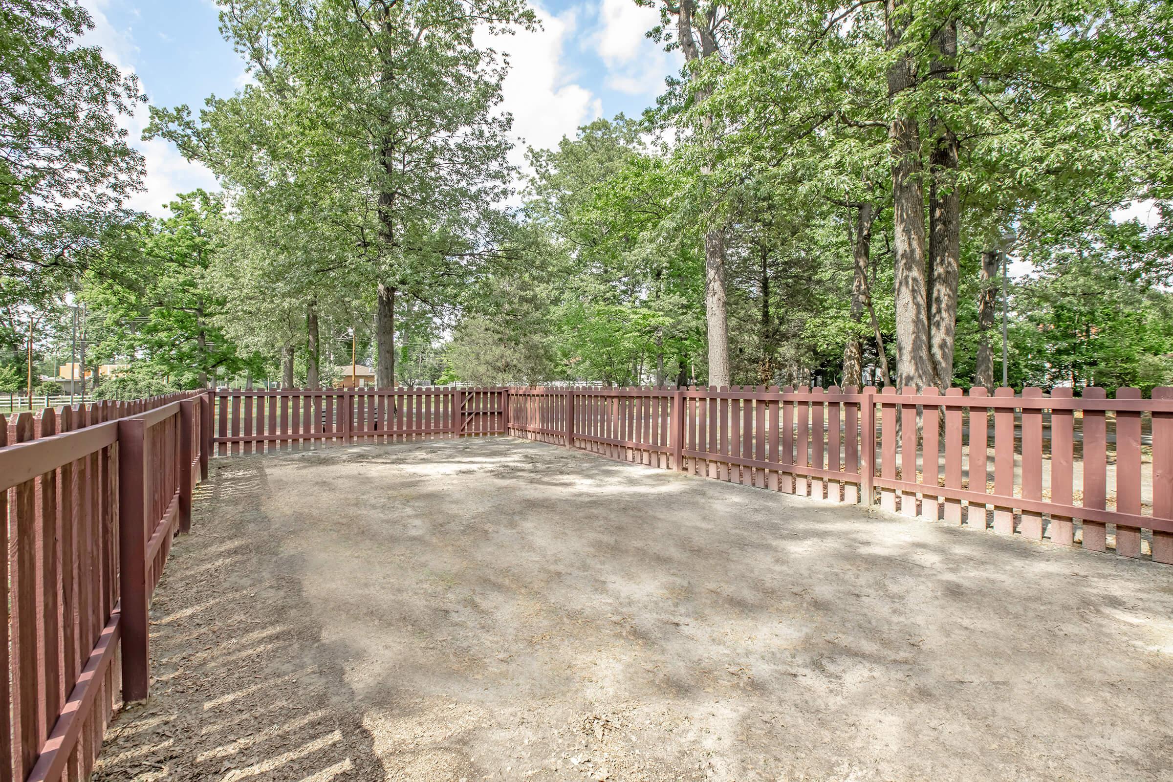 An empty fenced area surrounded by trees, featuring a dirt ground and wooden fences. The scene is bright, illuminated by sunlight filtering through the leaves, with a distant view of more greenery in the background. Ideal for outdoor activities or play.