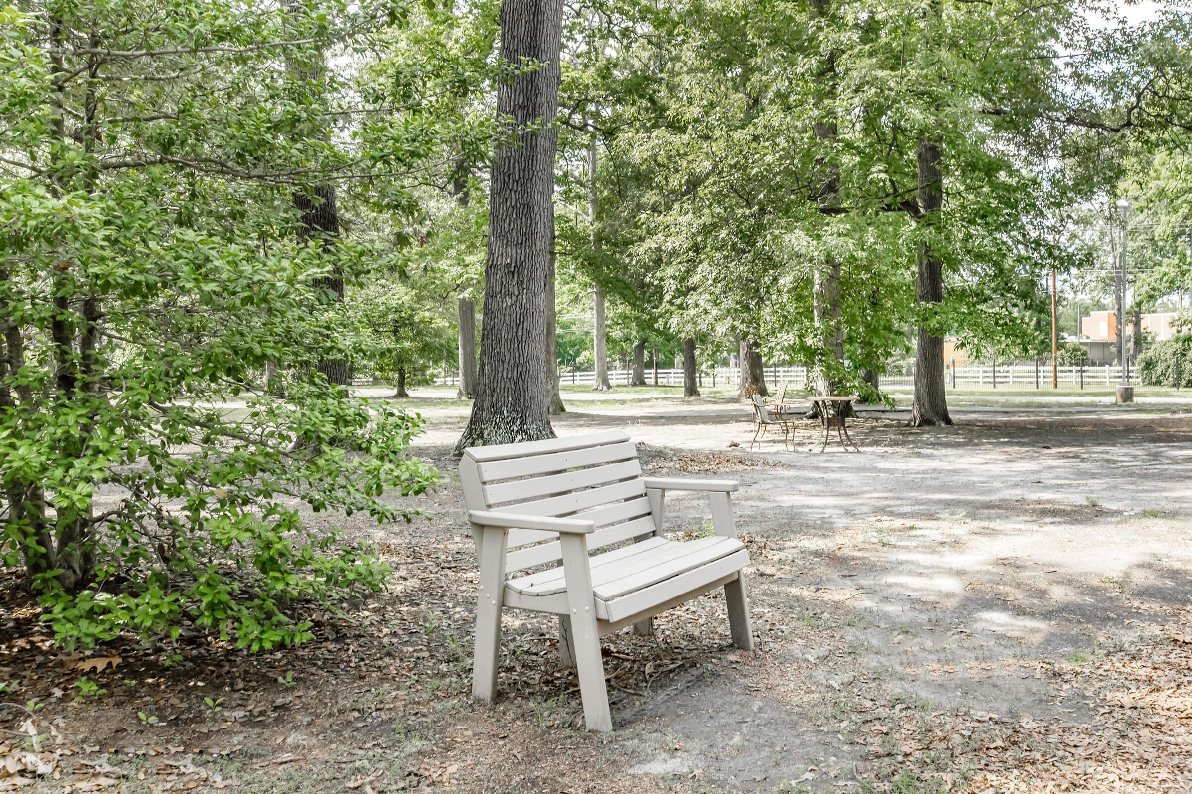 A wooden bench in a tranquil park setting, surrounded by lush green trees and a clear sky. A gravel path leads to a grassy area with picnic tables in the distance, offering a peaceful spot for relaxation and nature enjoyment.