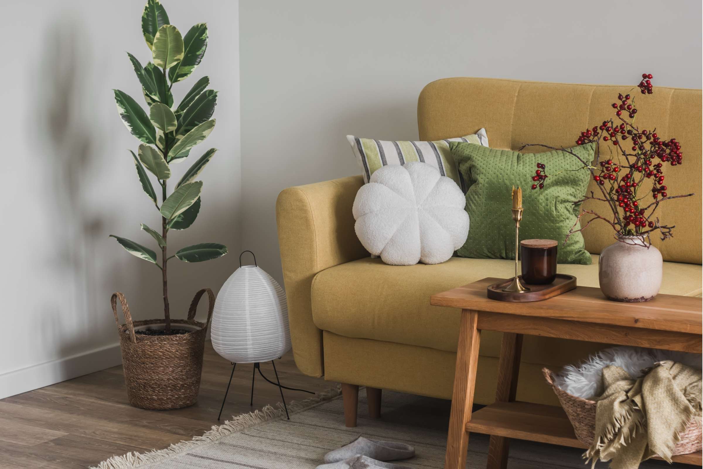 Apartment and Townhome Features