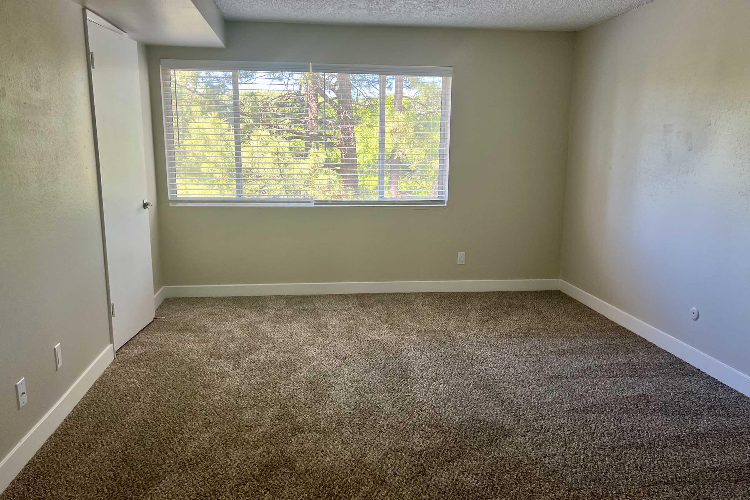 Empty room with beige walls and a light-colored carpet. A window with white blinds allows natural light to enter, providing a view of trees outside. A door is visible on the left side of the image. The overall ambiance is bright and spacious, with a clean and modern appearance.