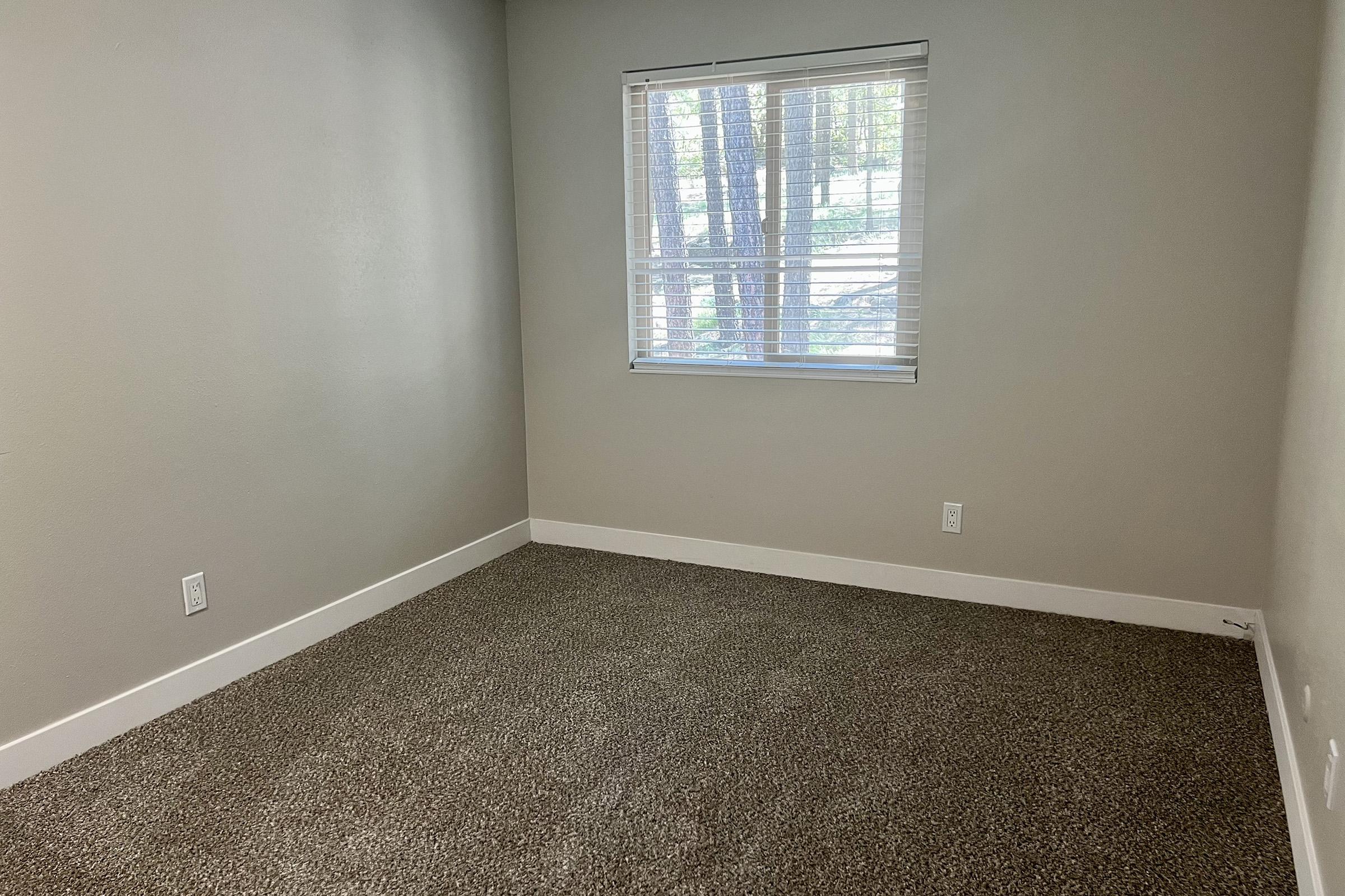 A vacant room with light gray walls and carpeted flooring. There is a window with white blinds allowing natural light to enter, and a view of greenery outside. The room has minimal furnishings, emphasizing a clean and open space.