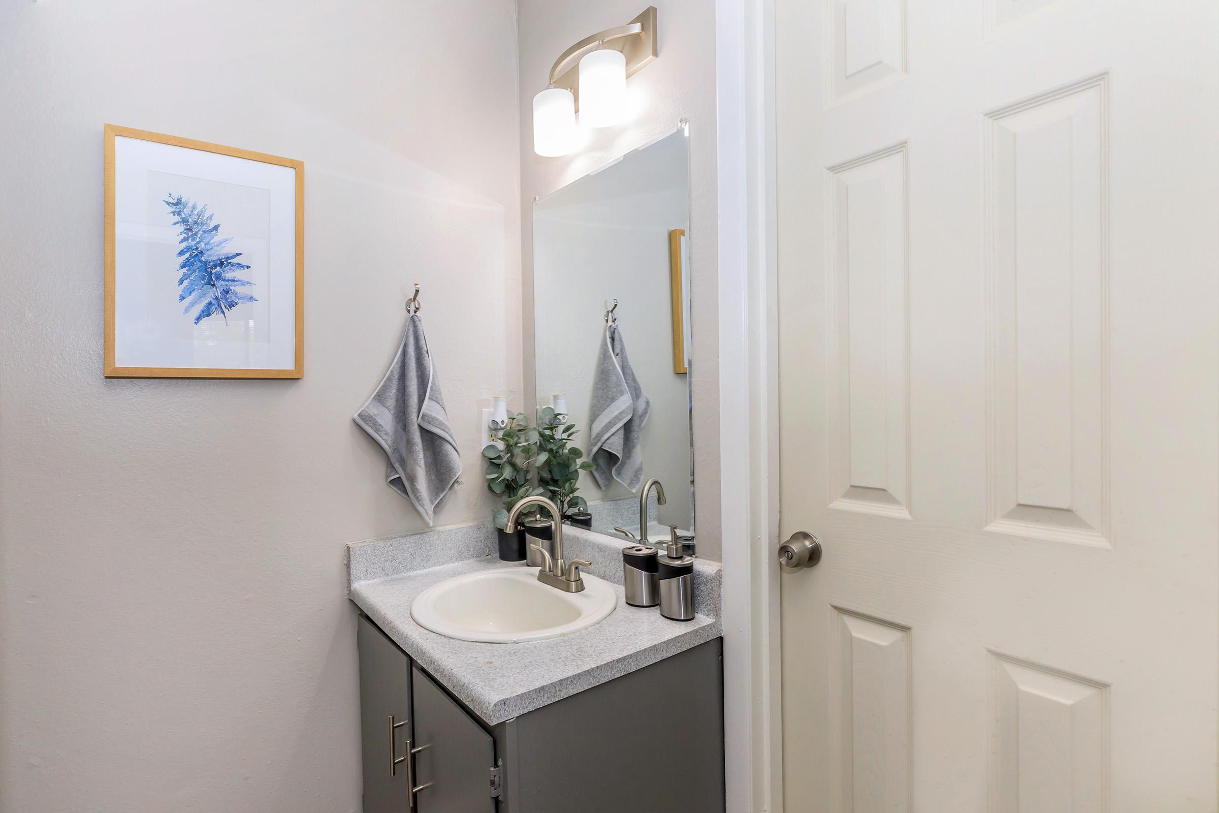 A small bathroom featuring a white sink with a gray countertop, a mirror above the sink, and a decorative blue-framed piece of art on the wall. Two gray hand towels hang on hooks, and there is a plant on the countertop. A door is partially visible on the right.