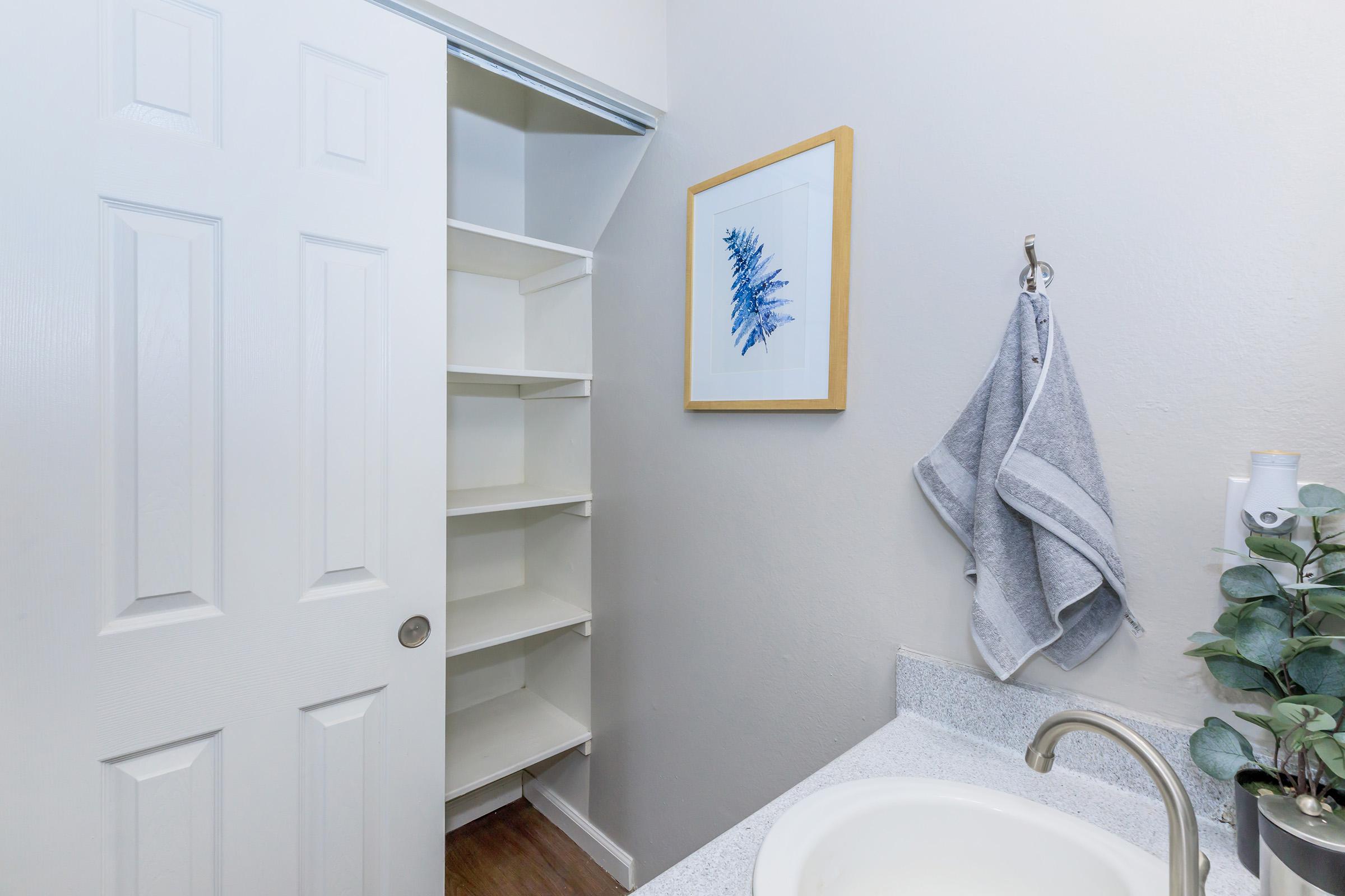 A well-lit bathroom featuring a simple sink with a faucet, a gray towel hung on a hook, and a framed artwork depicting a blue botanical design on the wall. An open closet with shelves is visible, providing additional storage space. The overall aesthetic is clean and modern.