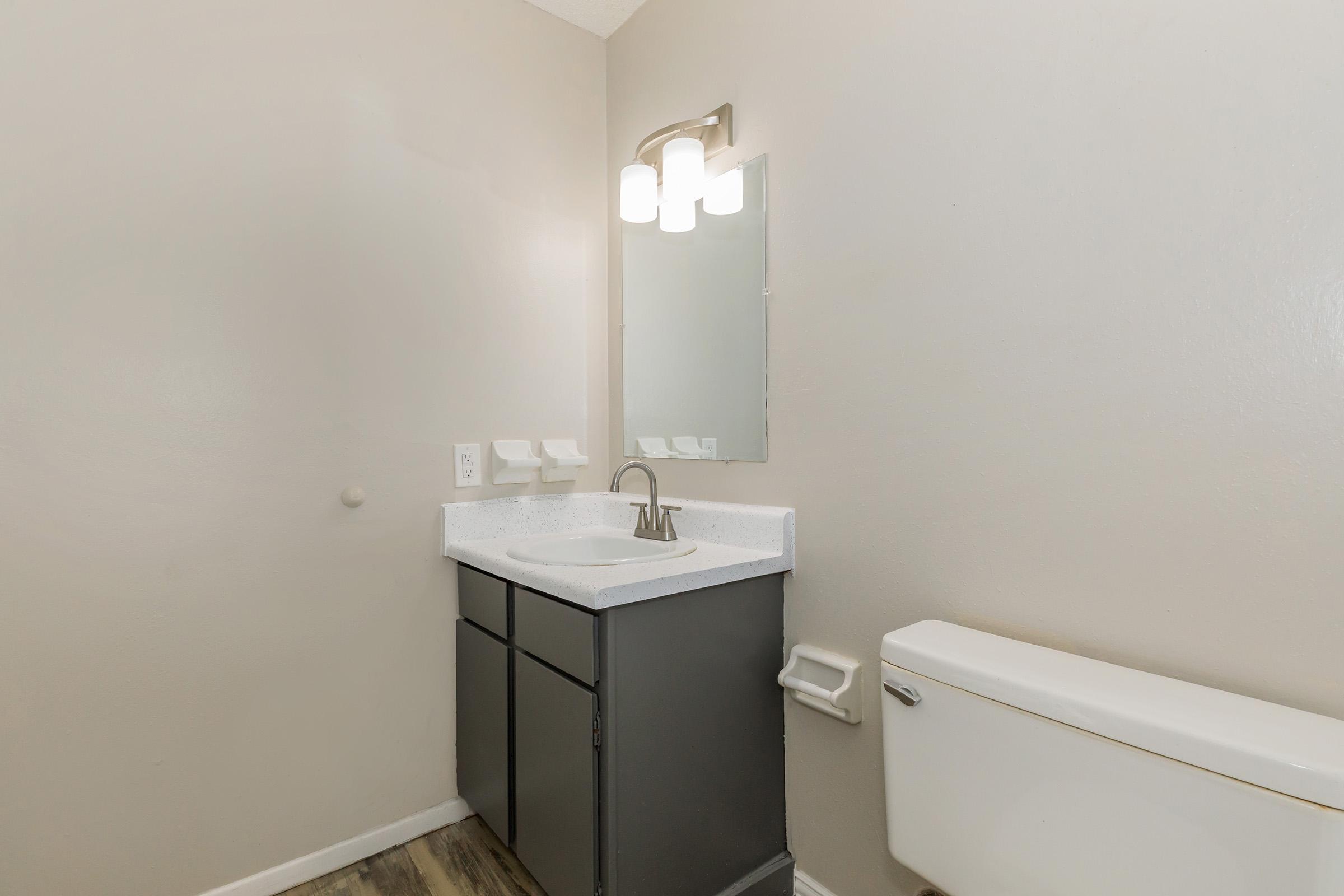 A small bathroom featuring a gray vanity with a white sink, a rectangular mirror above it, and a light fixture with three bulbs. To the right, there is a white toilet and wall-mounted grab bars, set against a neutral-colored wall with a wooden floor.