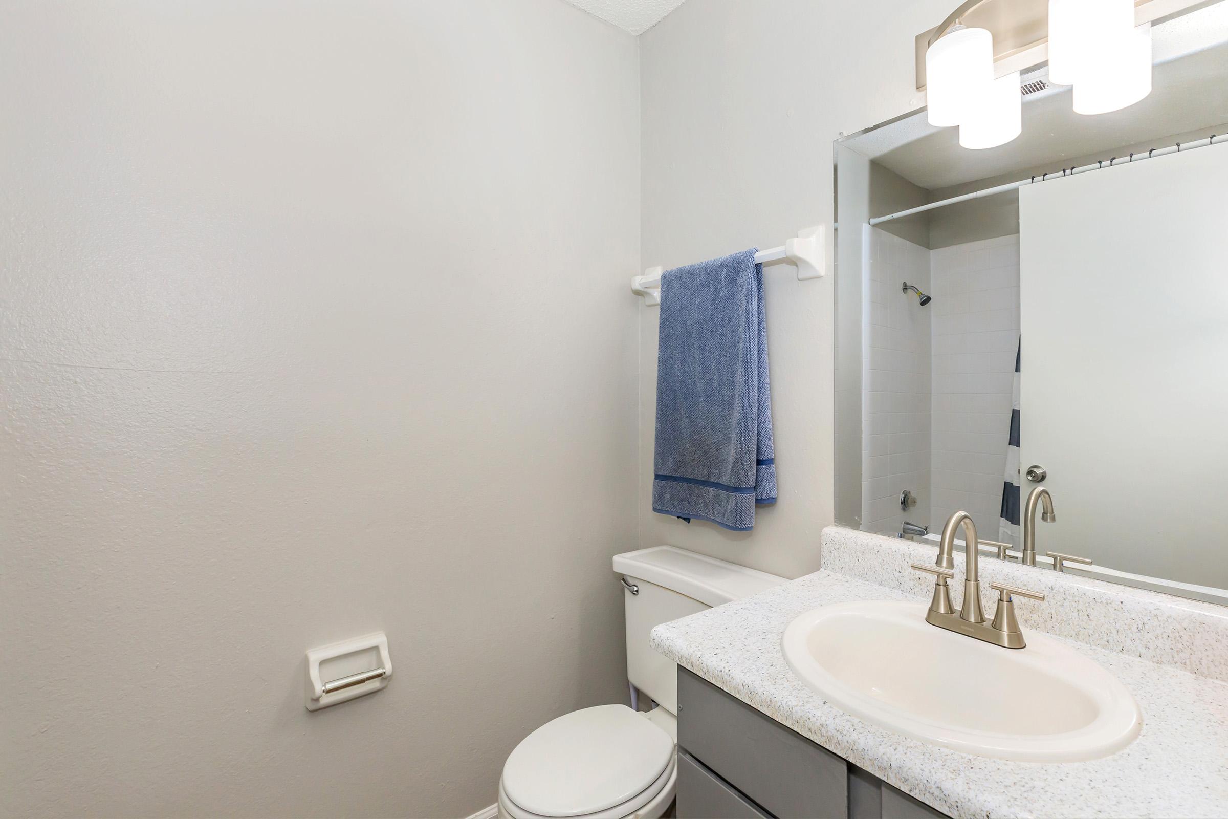 A small, modern bathroom featuring a white toilet, a sink with a granite countertop, and a mirror above it. The walls are painted light gray, and a blue towel hangs on a rack beside the sink. The shower area is visible in the background, showcasing a clean and tidy space.