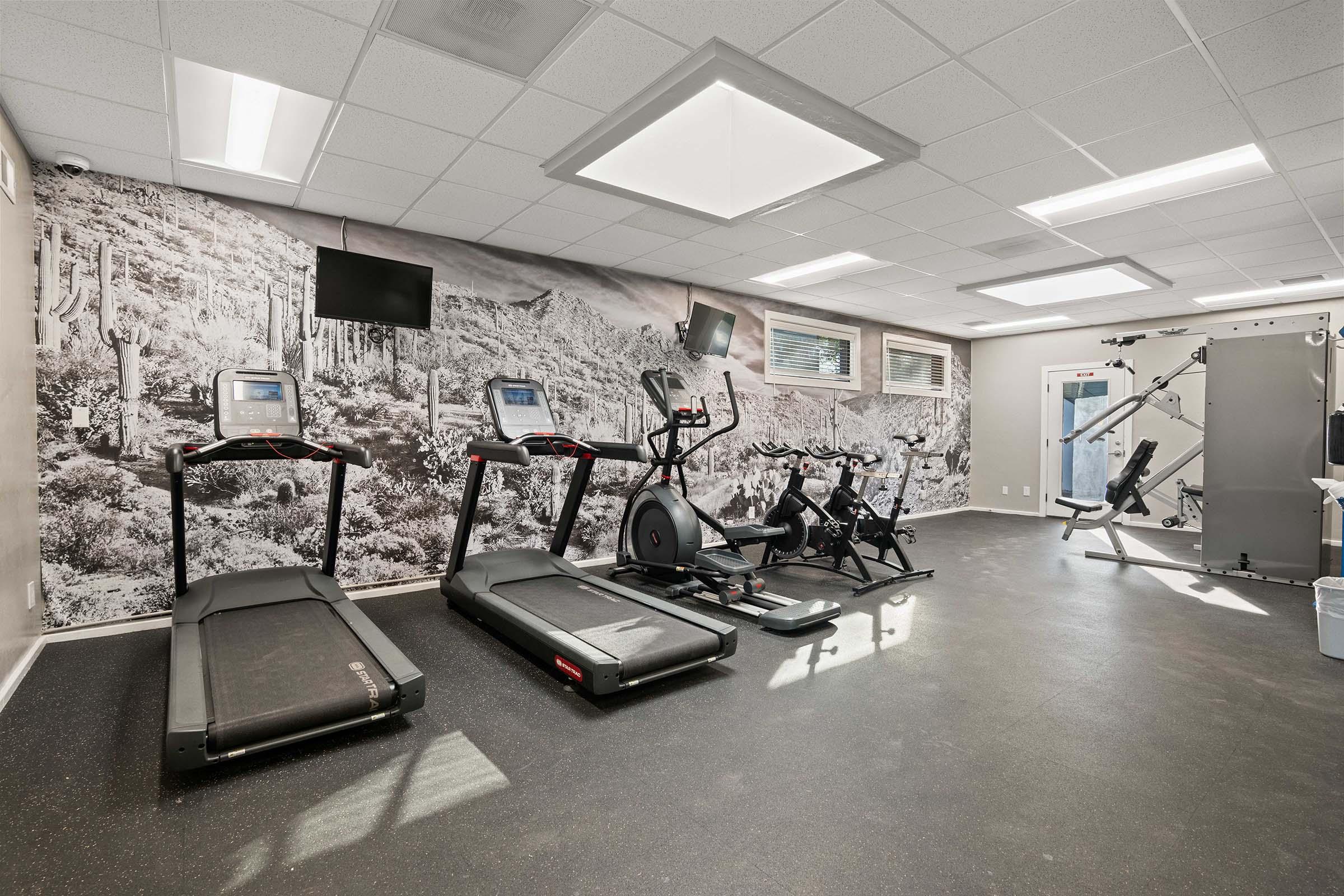 A modern gym space featuring treadmills, an elliptical machine, and a multi-exercise weight station. The walls are adorned with a large mural of a desert landscape. The room is well-lit with ceiling lights and has two wall-mounted TVs for entertainment during workouts.