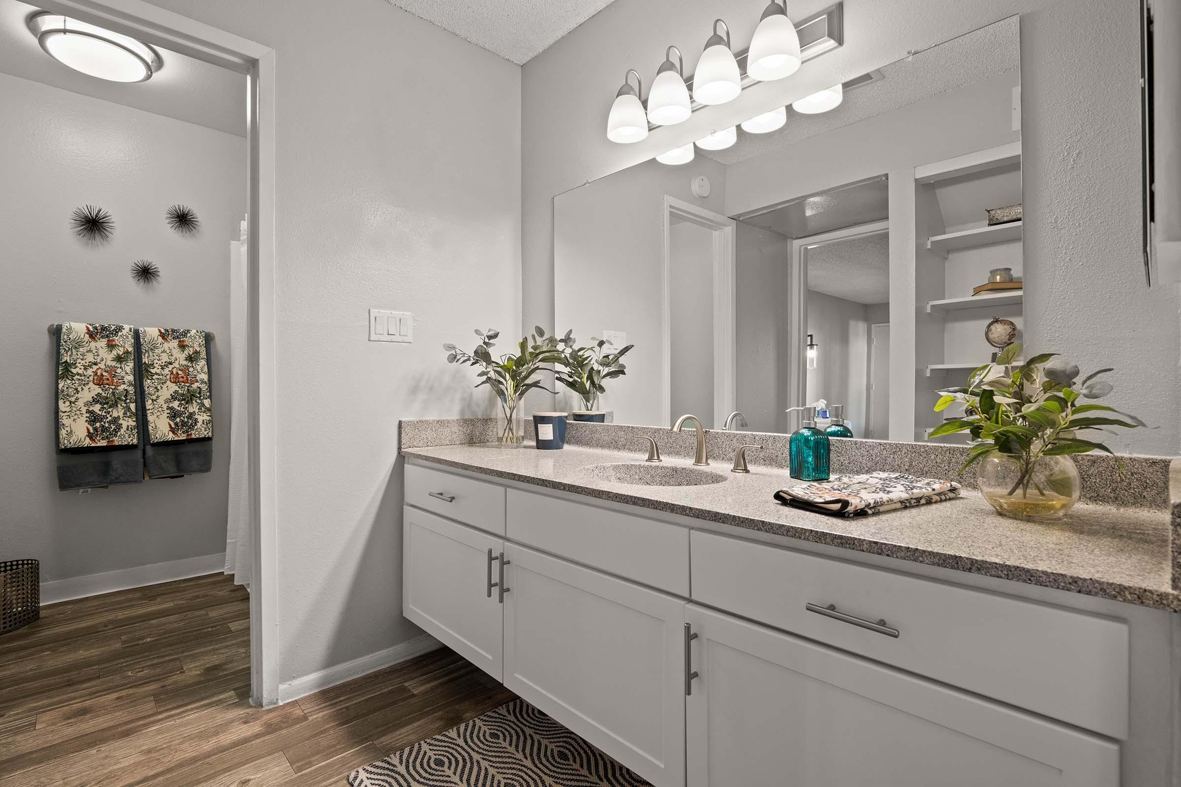 A modern bathroom featuring a double vanity with a granite countertop, two sinks, and decorative plants. The walls are painted in a soft gray, and a mirror with overhead lighting reflects the space. Towels hang on a nearby rack, and a small shelf displays decorative items. A stylish rug adds warmth to the wooden floor.