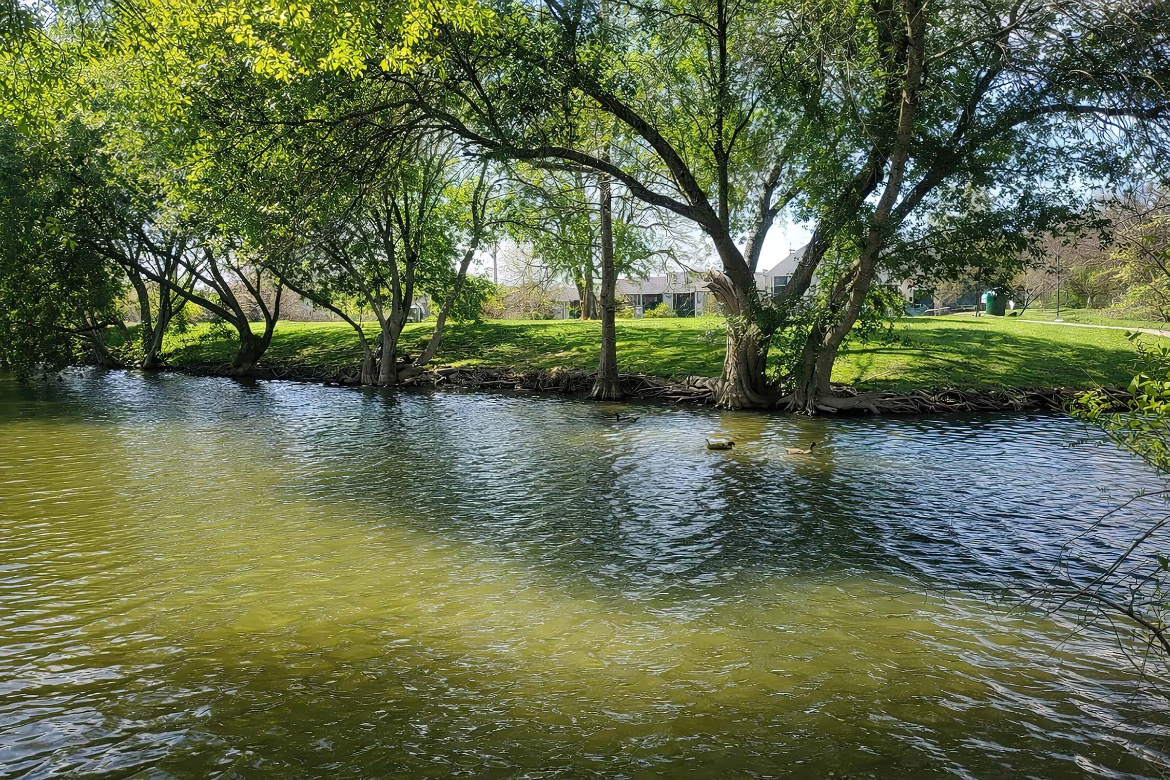 A tranquil river scene surrounded by lush green trees. The water reflects the sunlight and has a calm surface, while grassy patches and a few distant buildings can be seen along the shoreline. The setting conveys a peaceful and natural atmosphere.