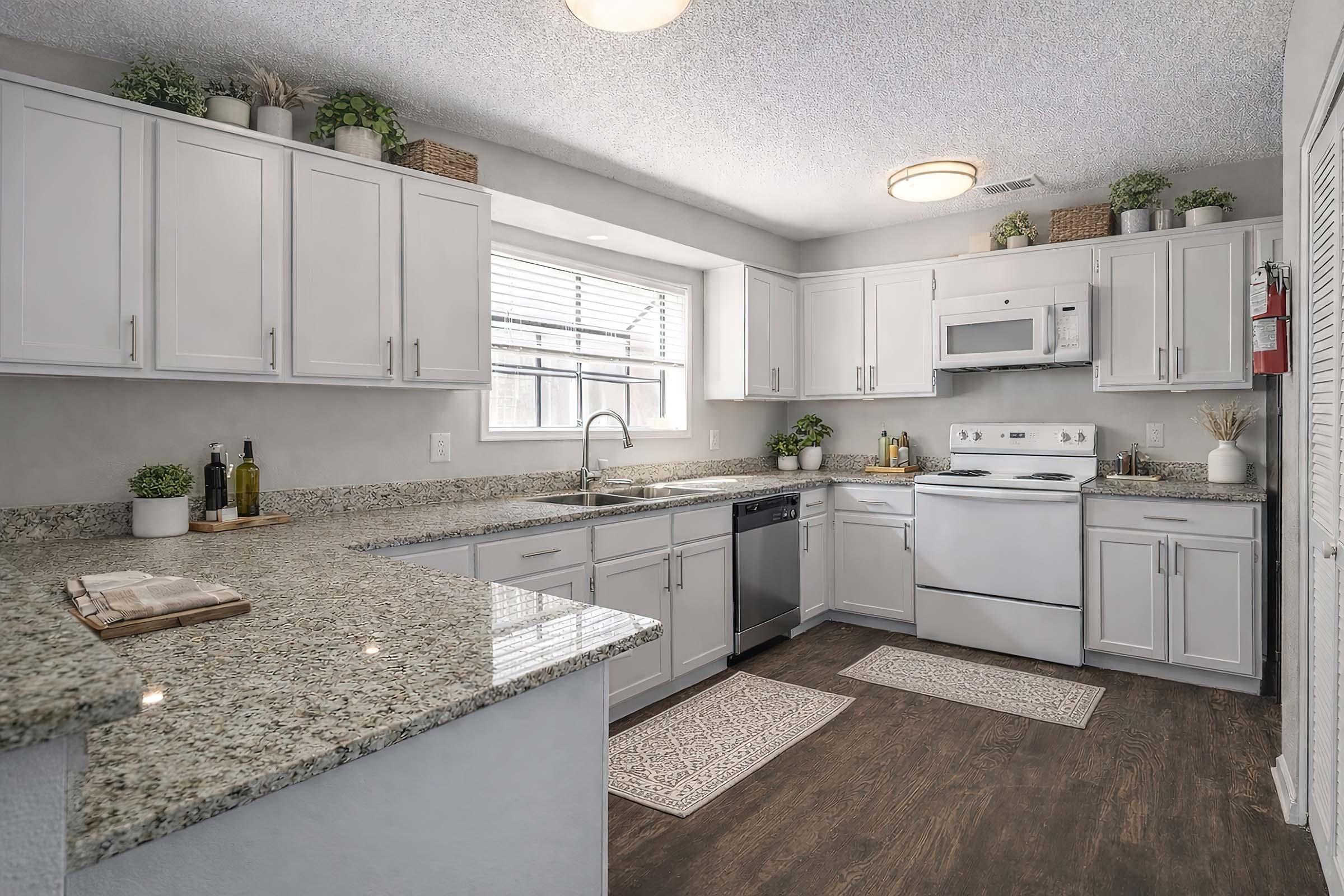 Modern kitchen featuring light gray cabinets, stainless steel appliances, and a spacious granite countertop. Natural light flows through a window above the sink. Decorative plants adorn the shelves, and two small area rugs are placed on the floor. The overall design is clean and inviting.