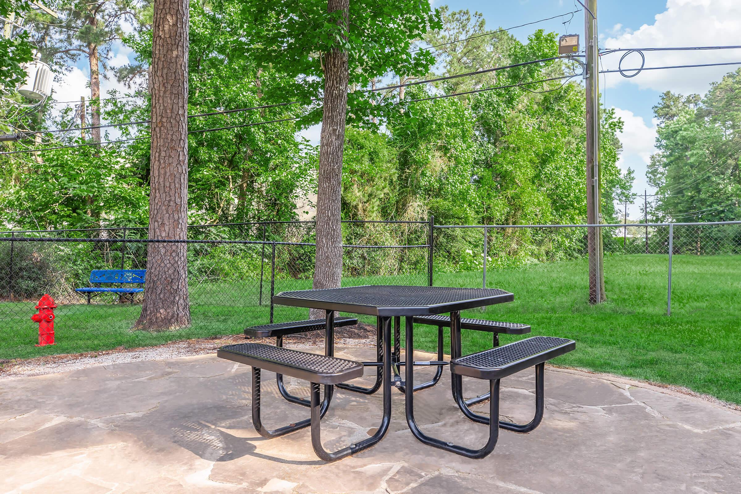 A black metal picnic table with attached benches sits on a stone surface in a green park. Surrounding the table are tall trees, a chain-link fence, a fire hydrant, and a blue bench in the background, under a clear sky.
