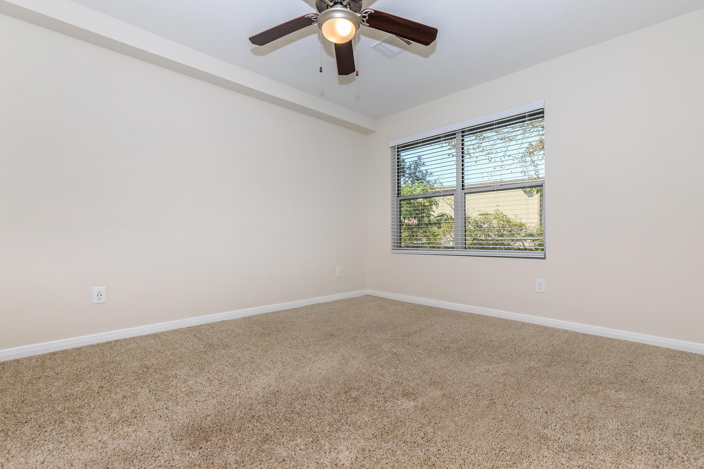 PLUSH CARPETED BEDROOM