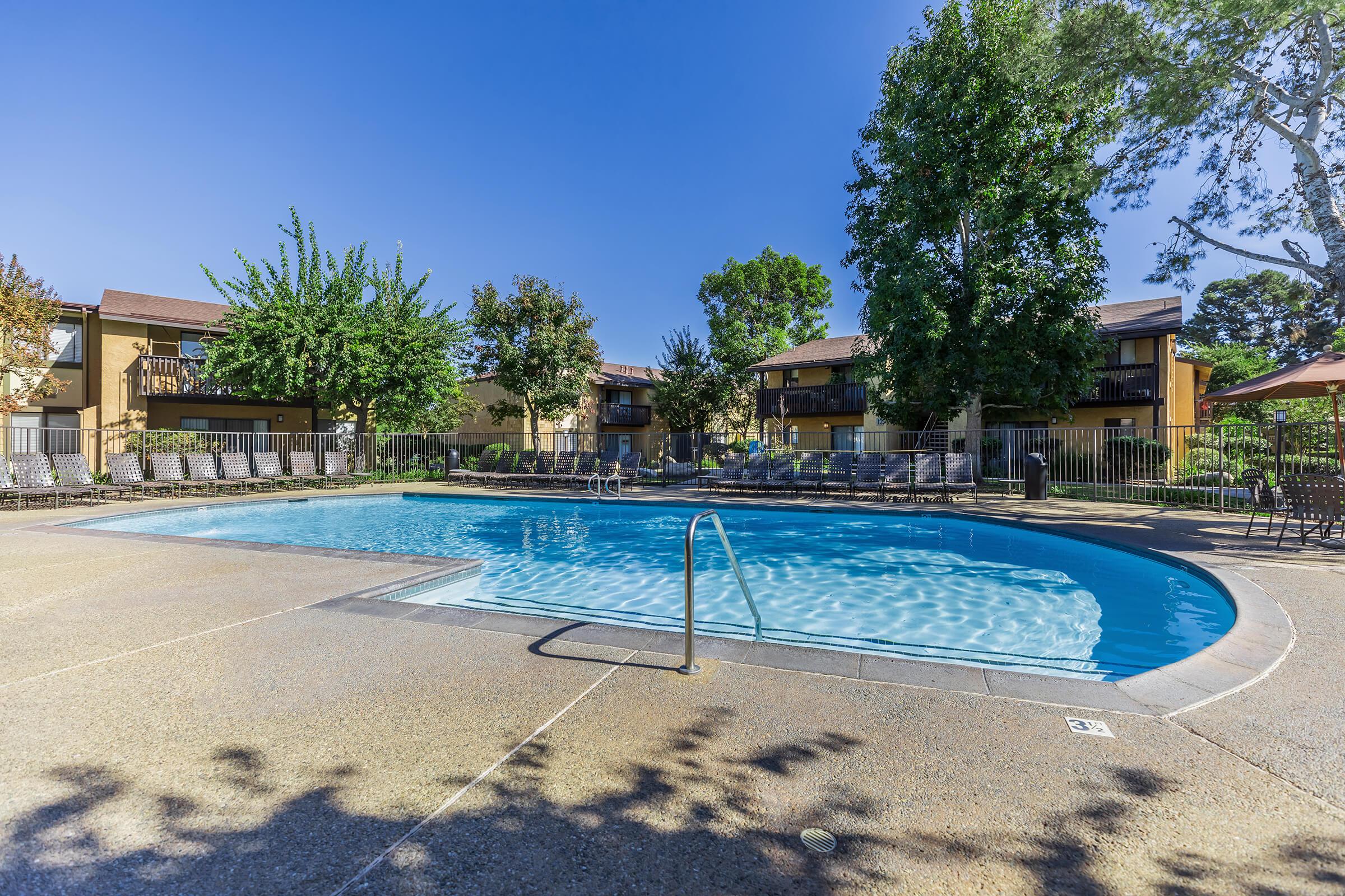 A community pool with green trees