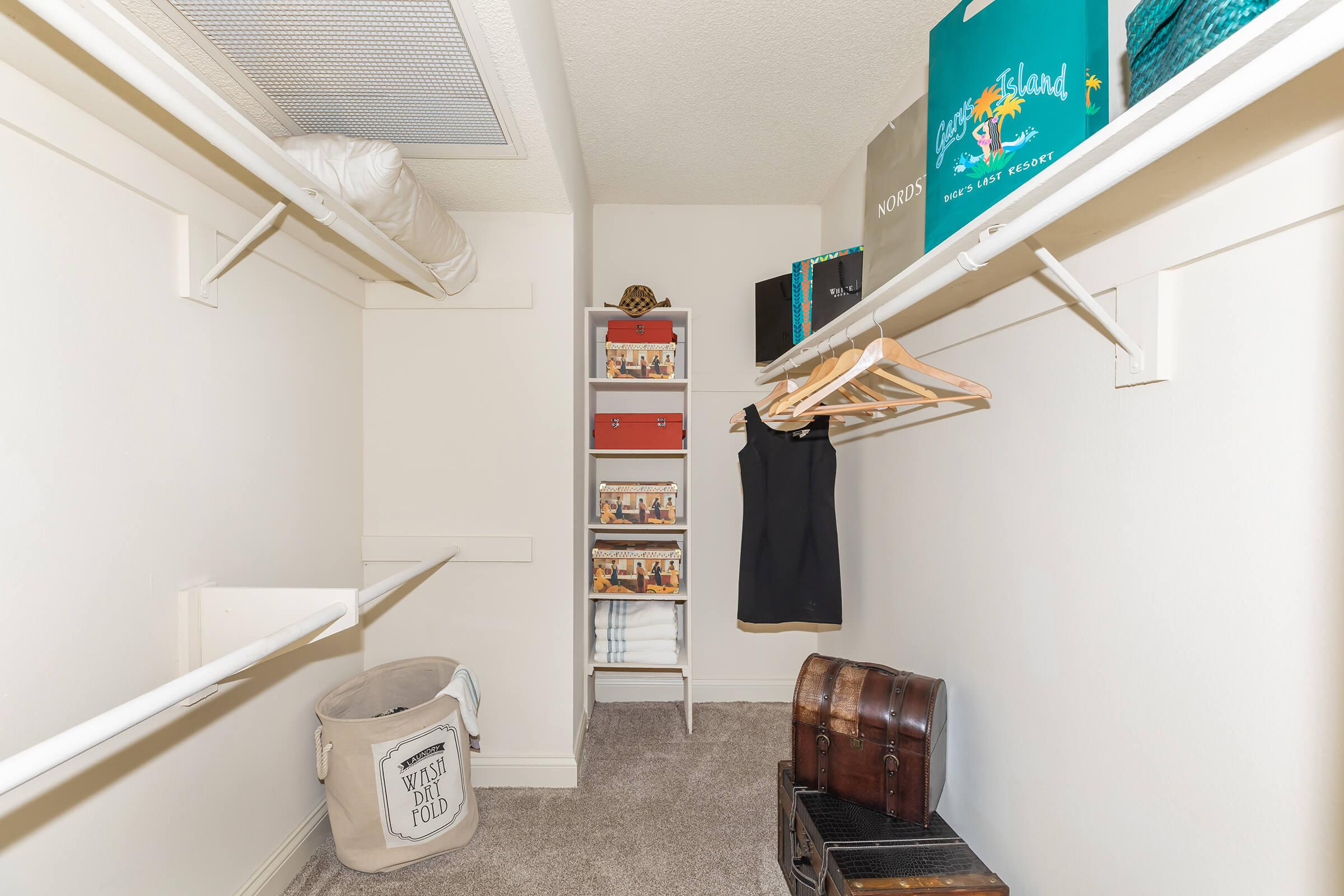 Walk-in closet with carpet