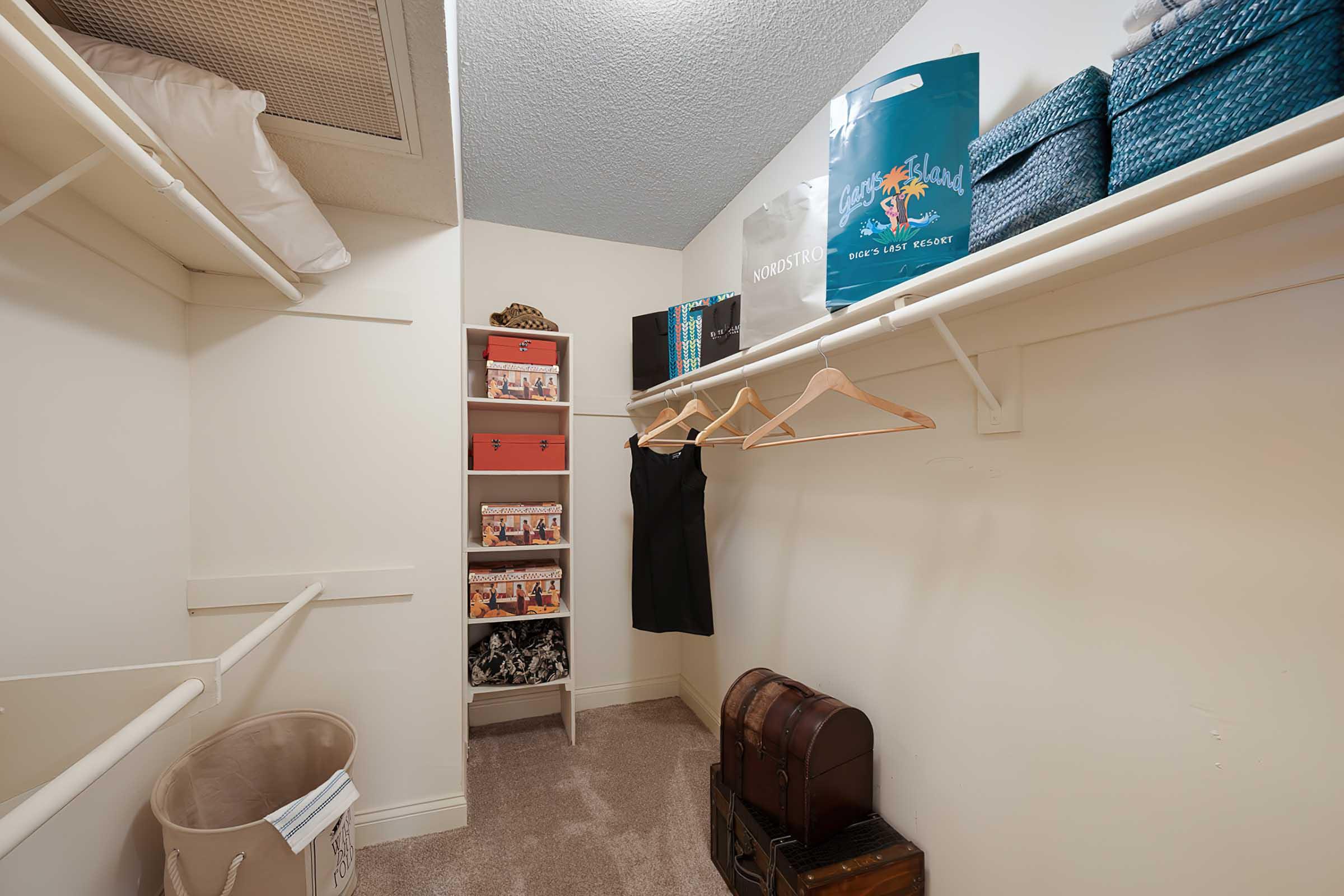A well-organized closet featuring shelving with storage boxes, hangers holding a black dress, and a variety of storage bins. The floor is carpeted, and there's a decorative trunk in the corner, along with a beige laundry basket. Soft lighting enhances the tidy appearance of the space.