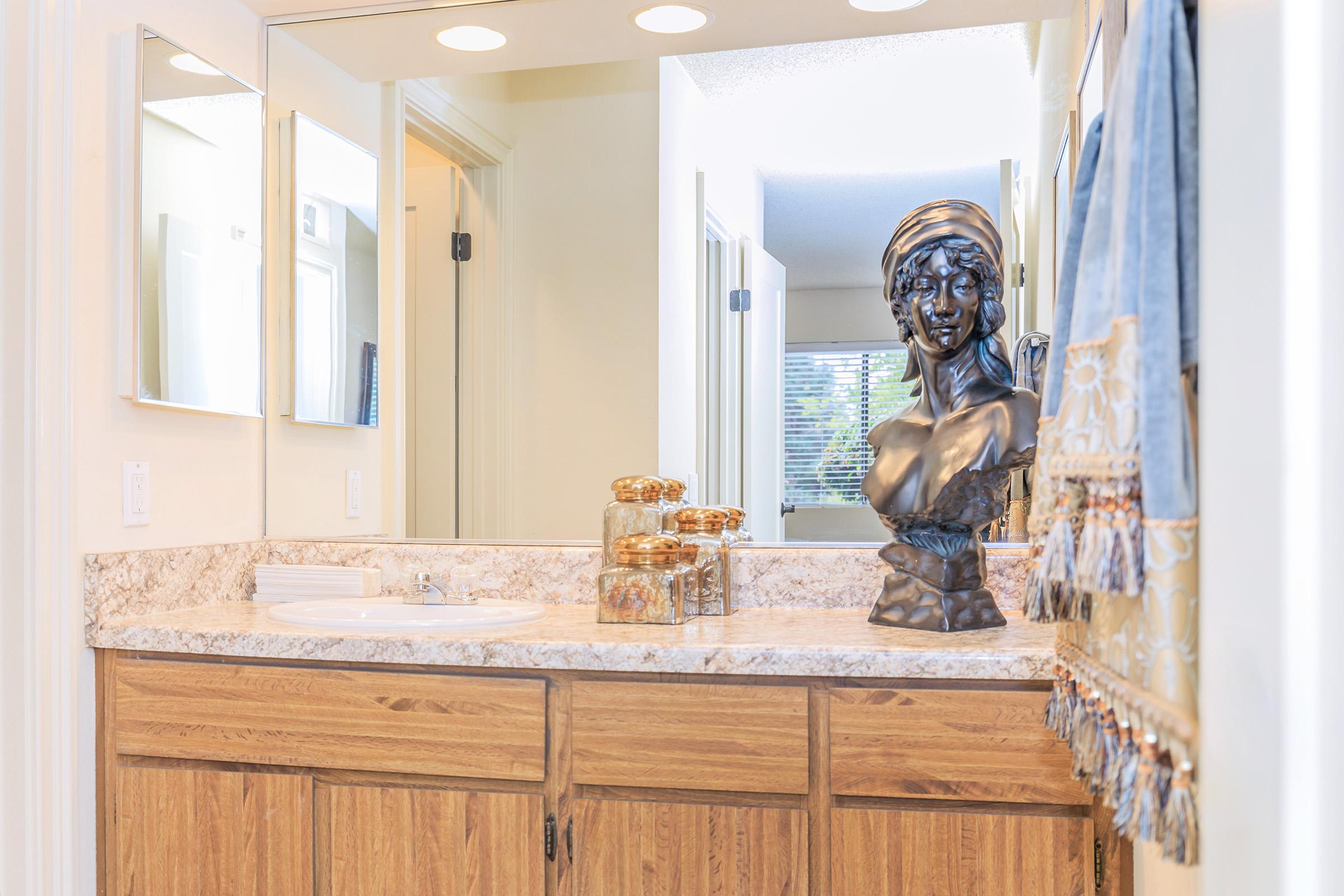 A spacious bathroom featuring a double sink countertop with a dark stone surface. Decorative items include a bust sculpture and glass jars filled with bath accessories. Mirrors above the sink reflect the light, and a towel hangs decoratively on a nearby hook, adding a touch of elegance to the space.