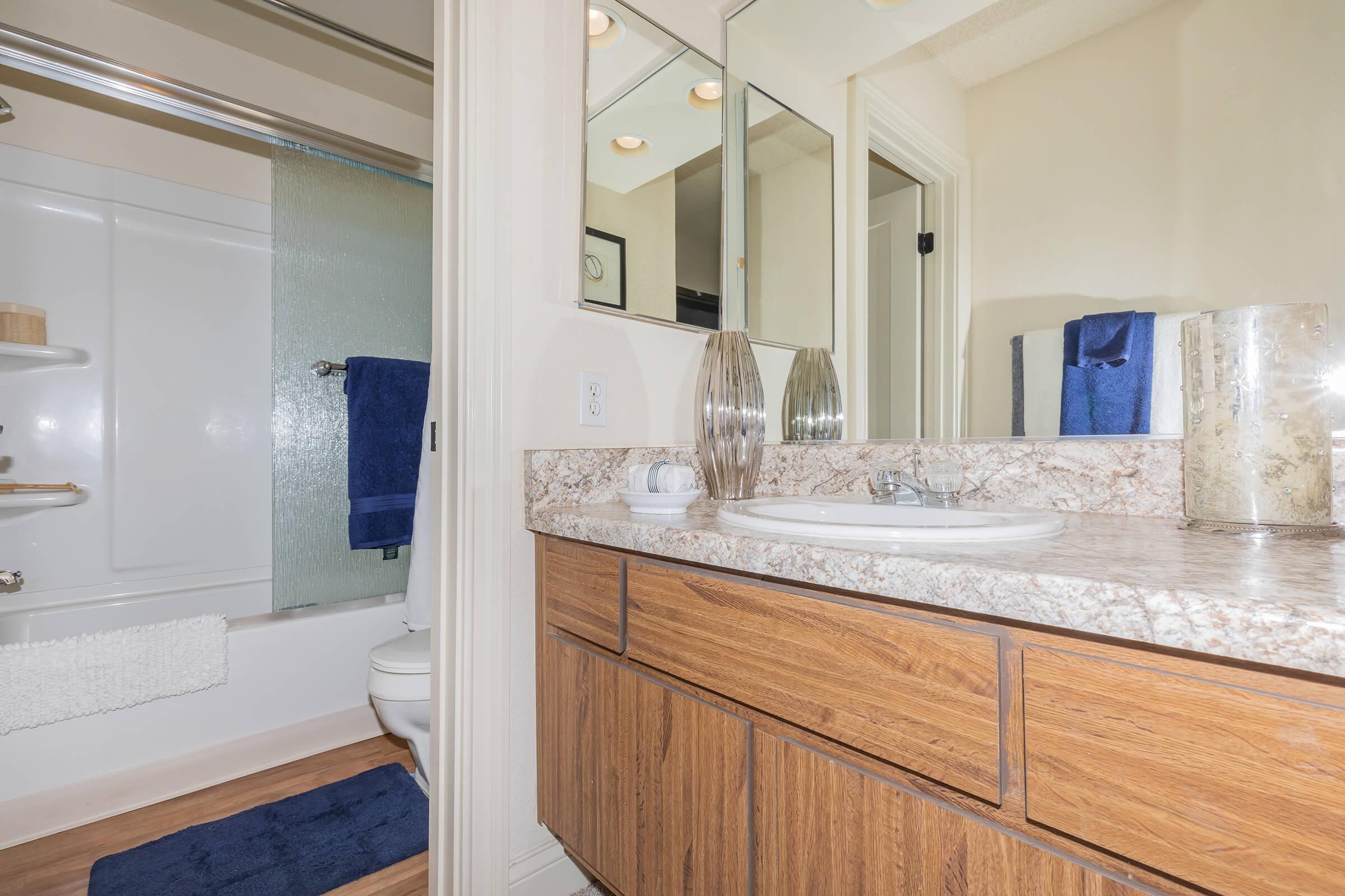 Bathroom with a blue rug