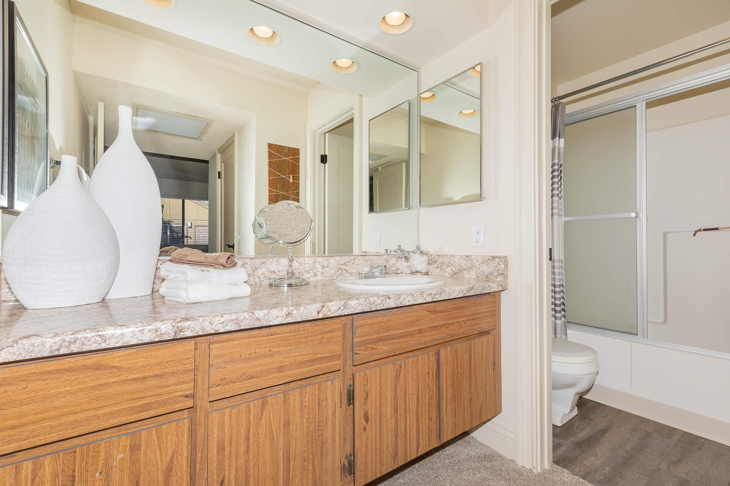 Bathroom with wooden cabinets