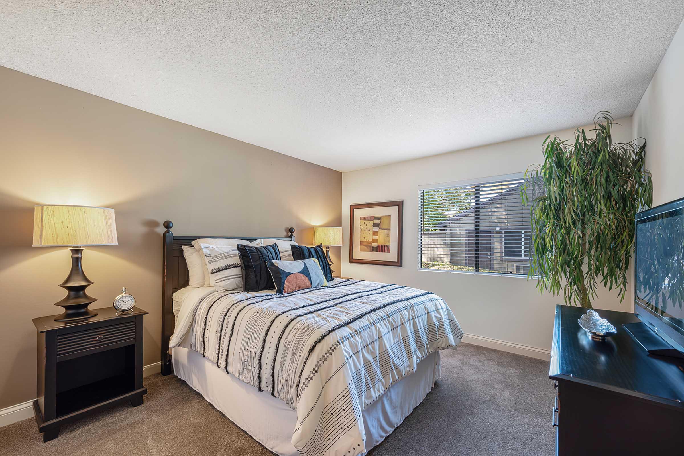 Cozy bedroom featuring a queen-sized bed with decorative pillows, a bedside lamp on a dark wood nightstand, and a large television on a black cabinet. A potted plant adds a touch of greenery, and natural light enters through a window with blinds, creating a warm and inviting atmosphere.