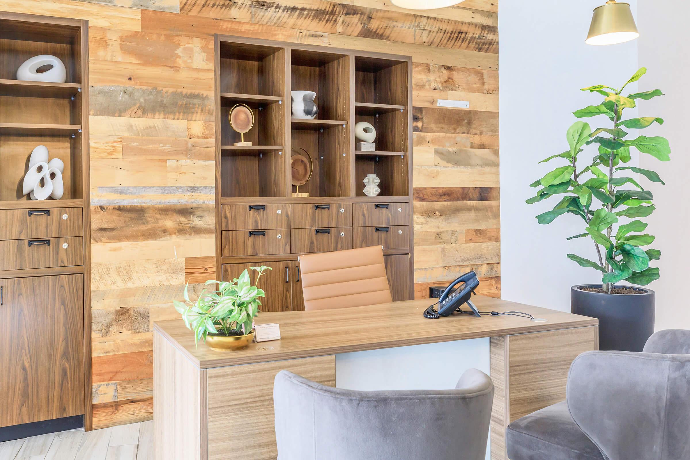 A modern office reception area featuring a wooden desk with a brown chair, a telephone, and a small potted plant. The background showcases a wood-paneled wall with decorative shelves holding various sculptures, and a large leafy plant in the corner. Soft lighting adds a welcoming ambiance.