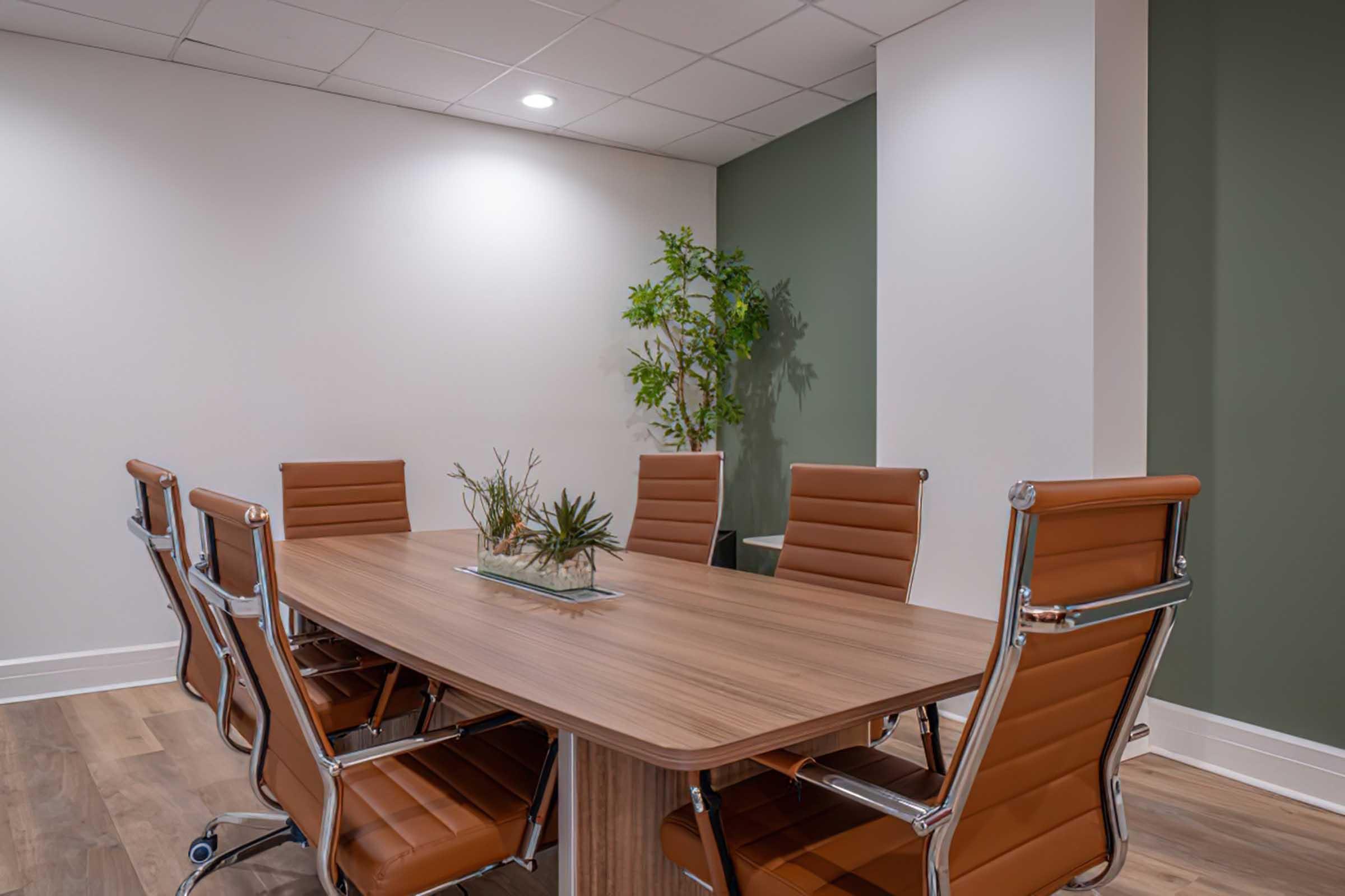 A modern conference room featuring a large wooden table surrounded by brown leather chairs. A small plant is center on the table, and the room has neutral-colored walls, with one wall painted in a calming green shade. The lighting is bright and inviting, creating a professional atmosphere.