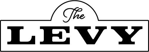 The Levy ebrochure logo