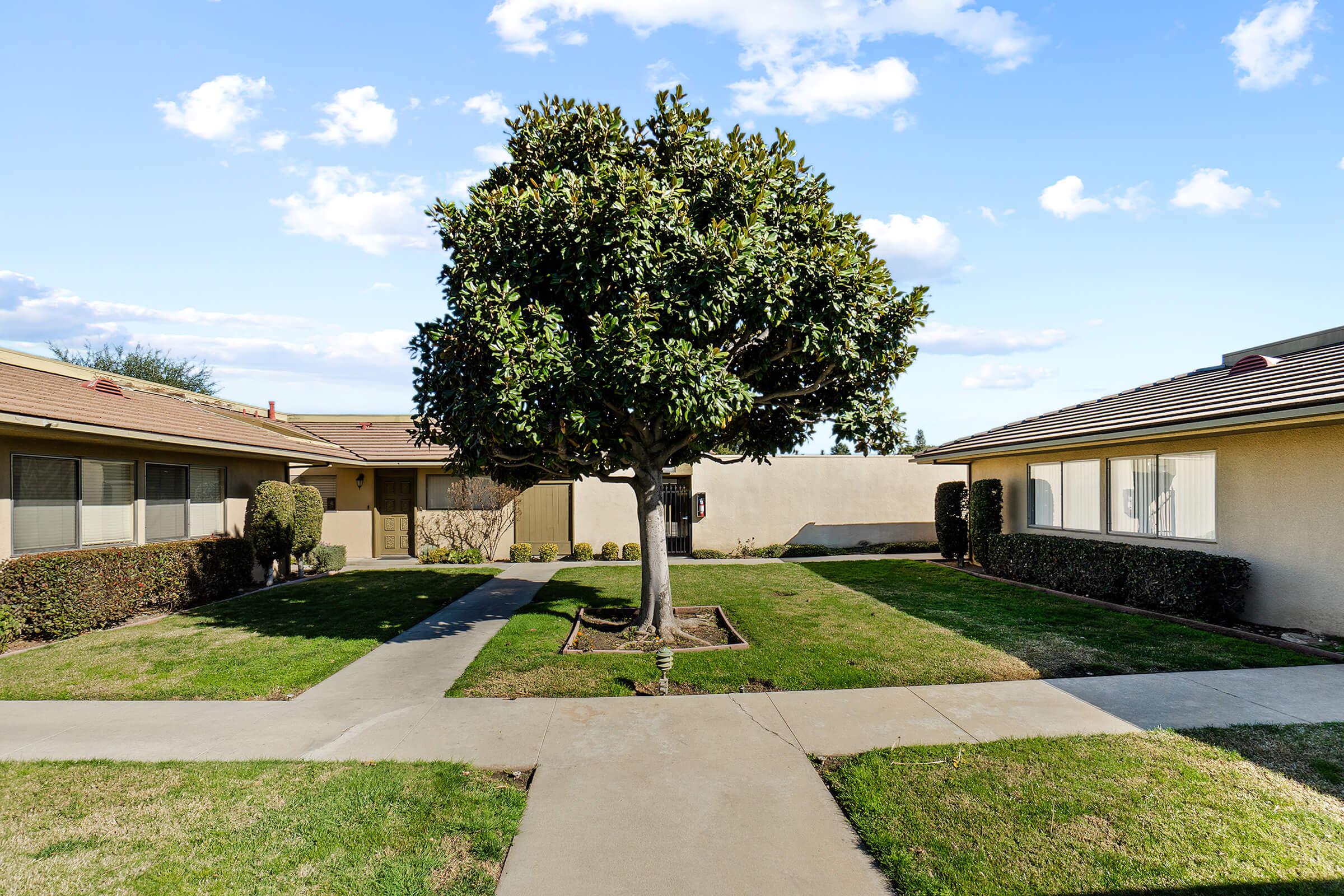 a large lawn in front of a house