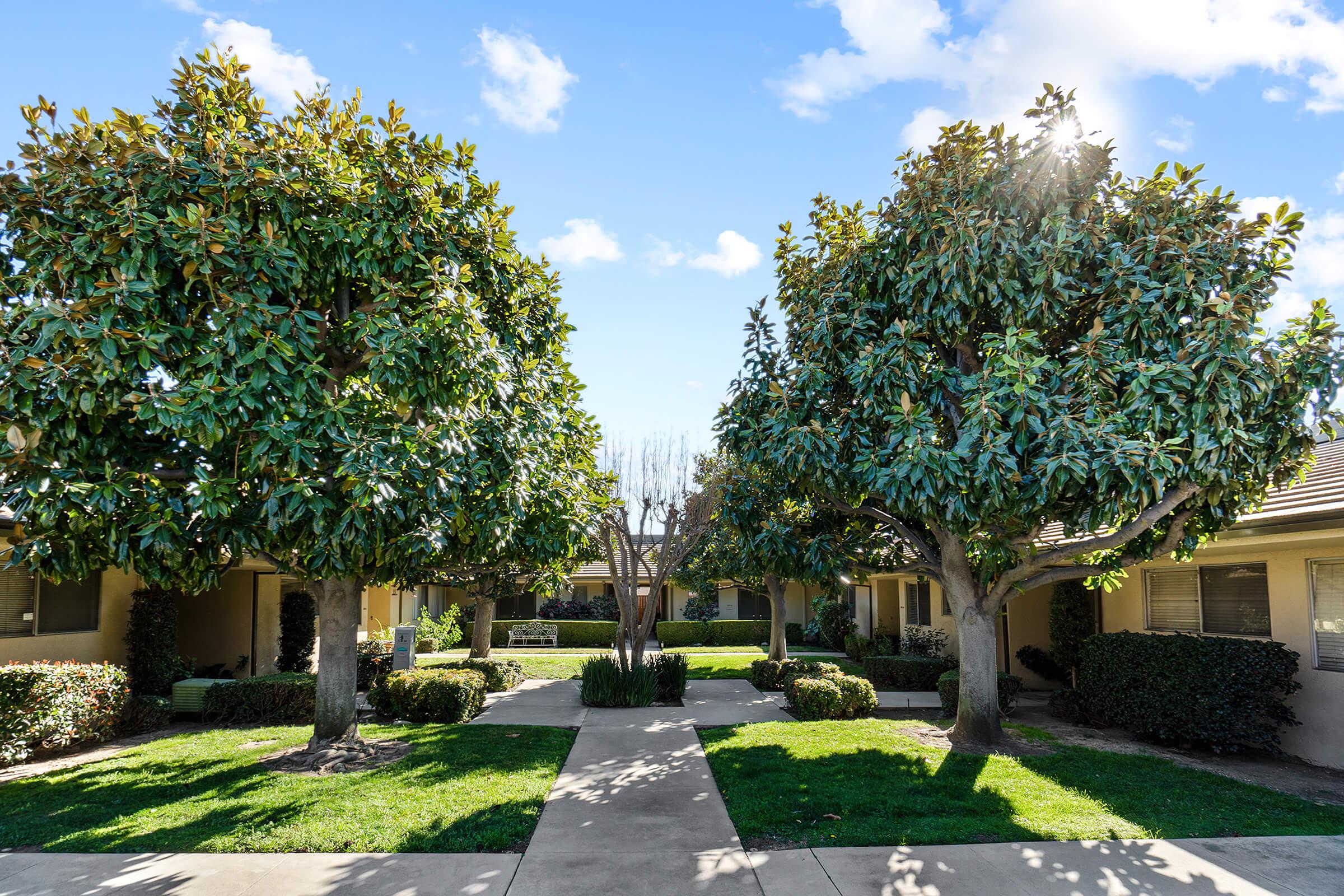 a tree in front of a house