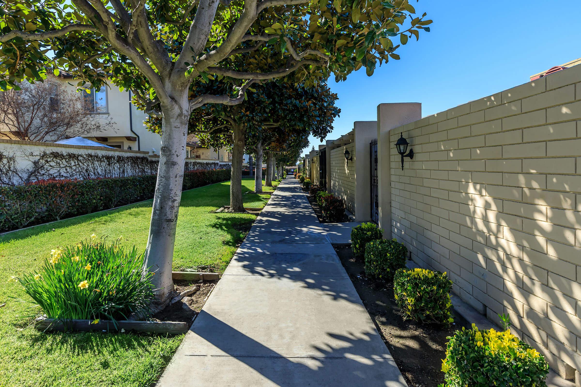 a path with trees on the side of a building