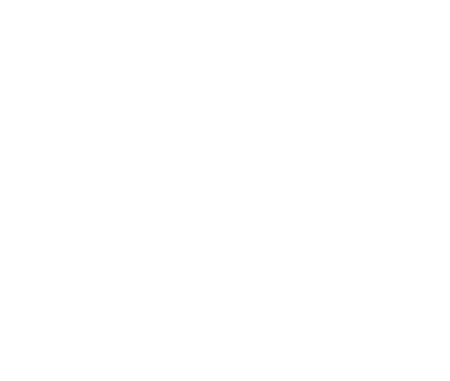 The Roosevelt Apartment Homes ebrochure logo