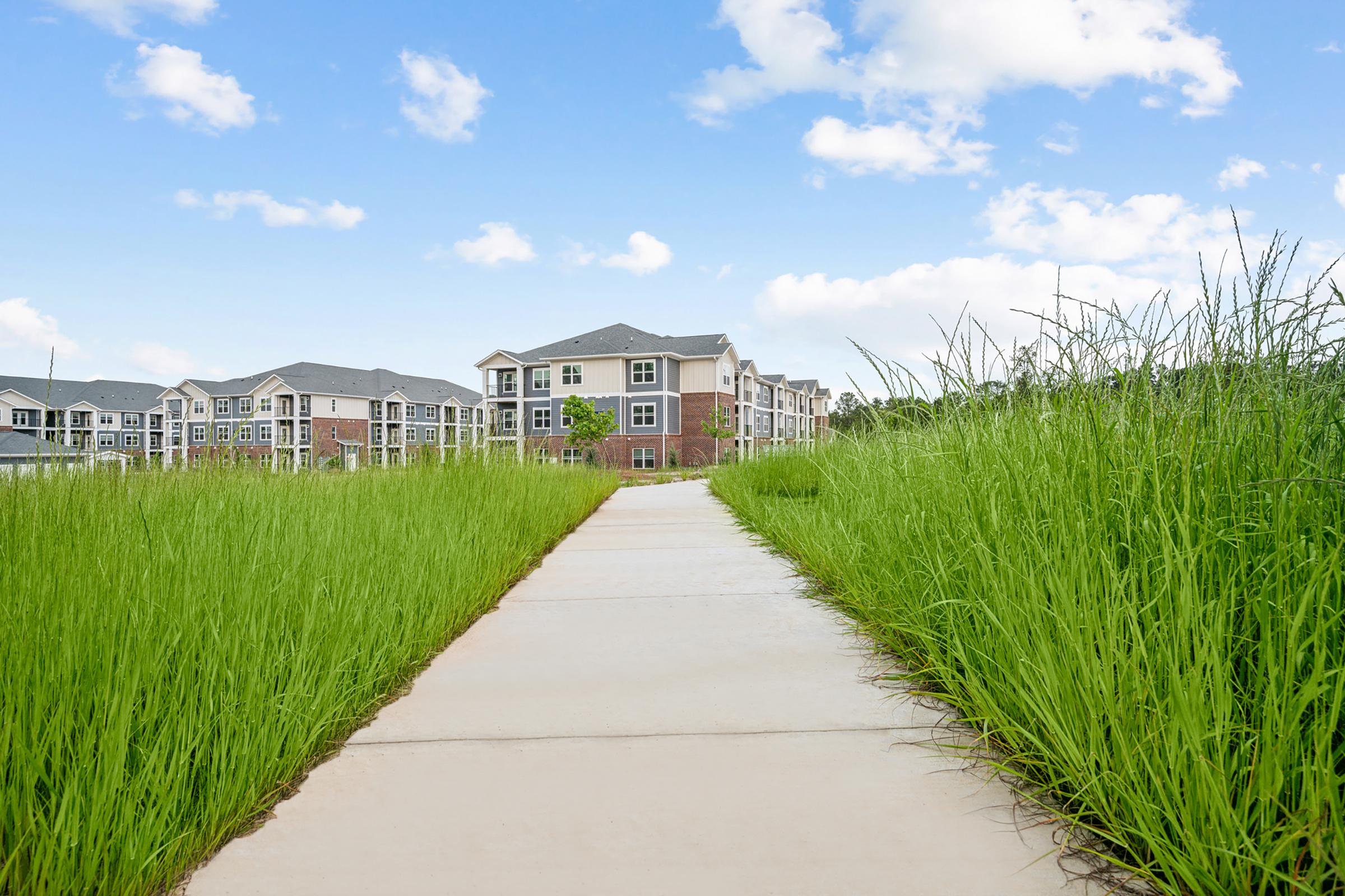 a path with grass and trees