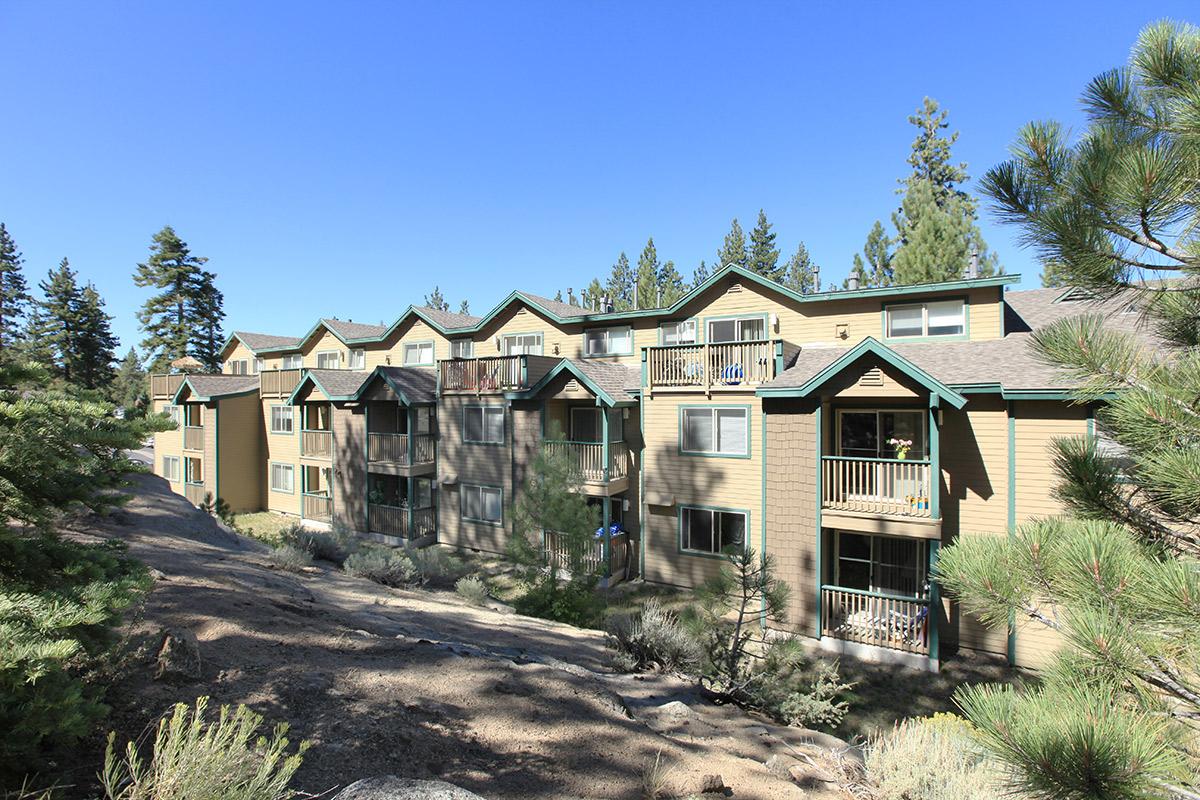 A row of two-story apartments surrounded by pine trees, with balconies on the second floor. The buildings feature a mix of brown and green siding, under a clear blue sky. The landscape includes natural vegetation and rocks in the foreground.