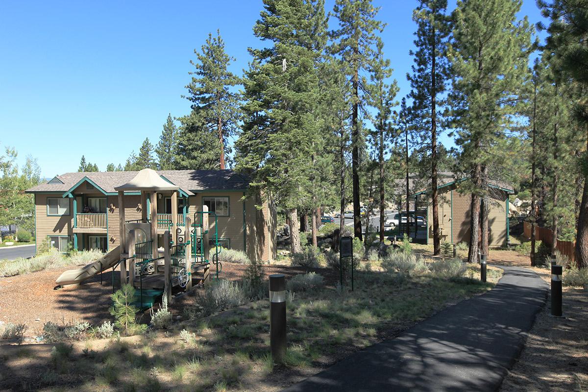 A courtyard featuring two brownish buildings surrounded by tall pine trees. There's a playground structure with slides and climbing equipment in the foreground, with a walking path leading through landscaped greenery. The scene is set in a sunny, clear sky environment.