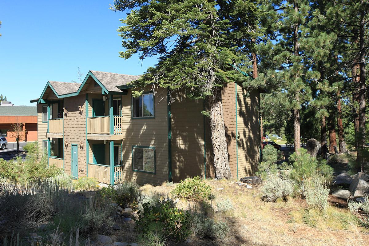 A two-story wooden building surrounded by tall trees and shrubbery. The structure features a light brown exterior with green accents and balconies on the upper floor. The setting appears natural, with various plants and landscaping around the property.