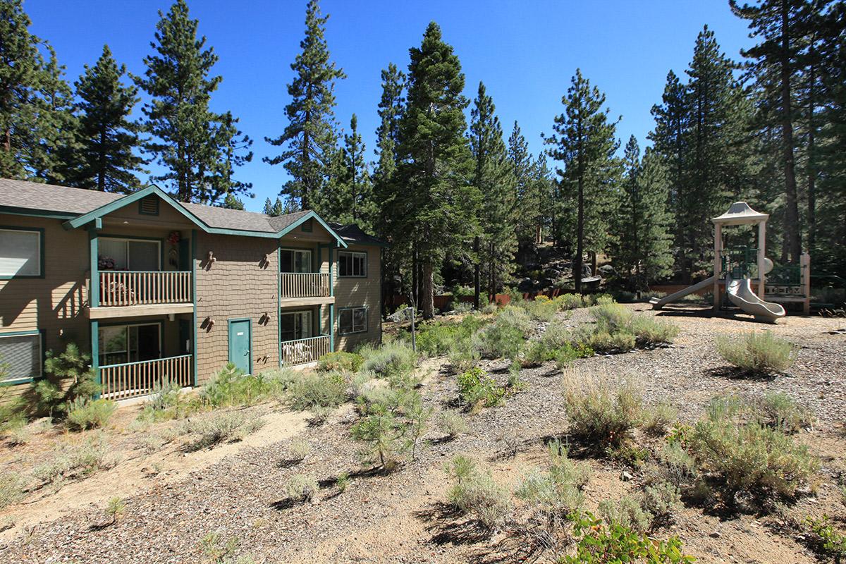 A cozy lodge-style building set among tall pine trees, with balconies overlooking a natural landscape. In the foreground, a sandy area features a playground structure. The clear blue sky adds to the serene, outdoor atmosphere.