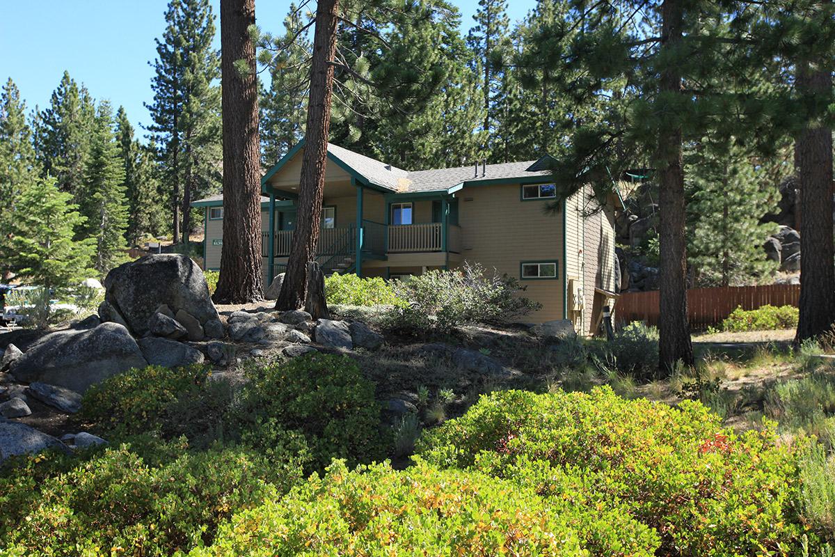 A rustic house nestled among tall pine trees, surrounded by lush greenery and rocky outcrops. The home features a two-story design with a light brown exterior and green accents, set against a bright blue sky. The area has a peaceful, natural ambiance with sun-dappled foliage.
