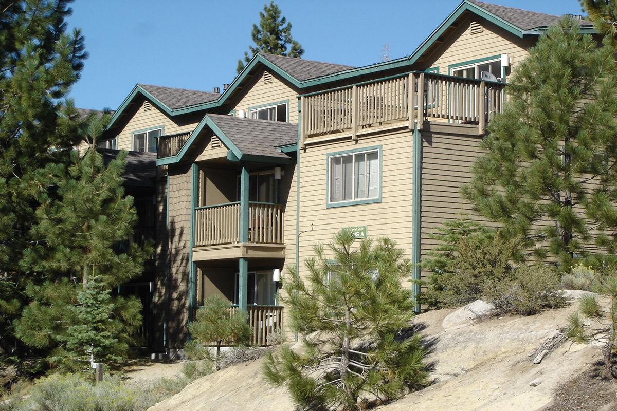 Row of multi-story brown wooden cabins with steep gable roofs, balconies, and large windows. Surrounded by pine trees and a rocky landscape under a clear blue sky.