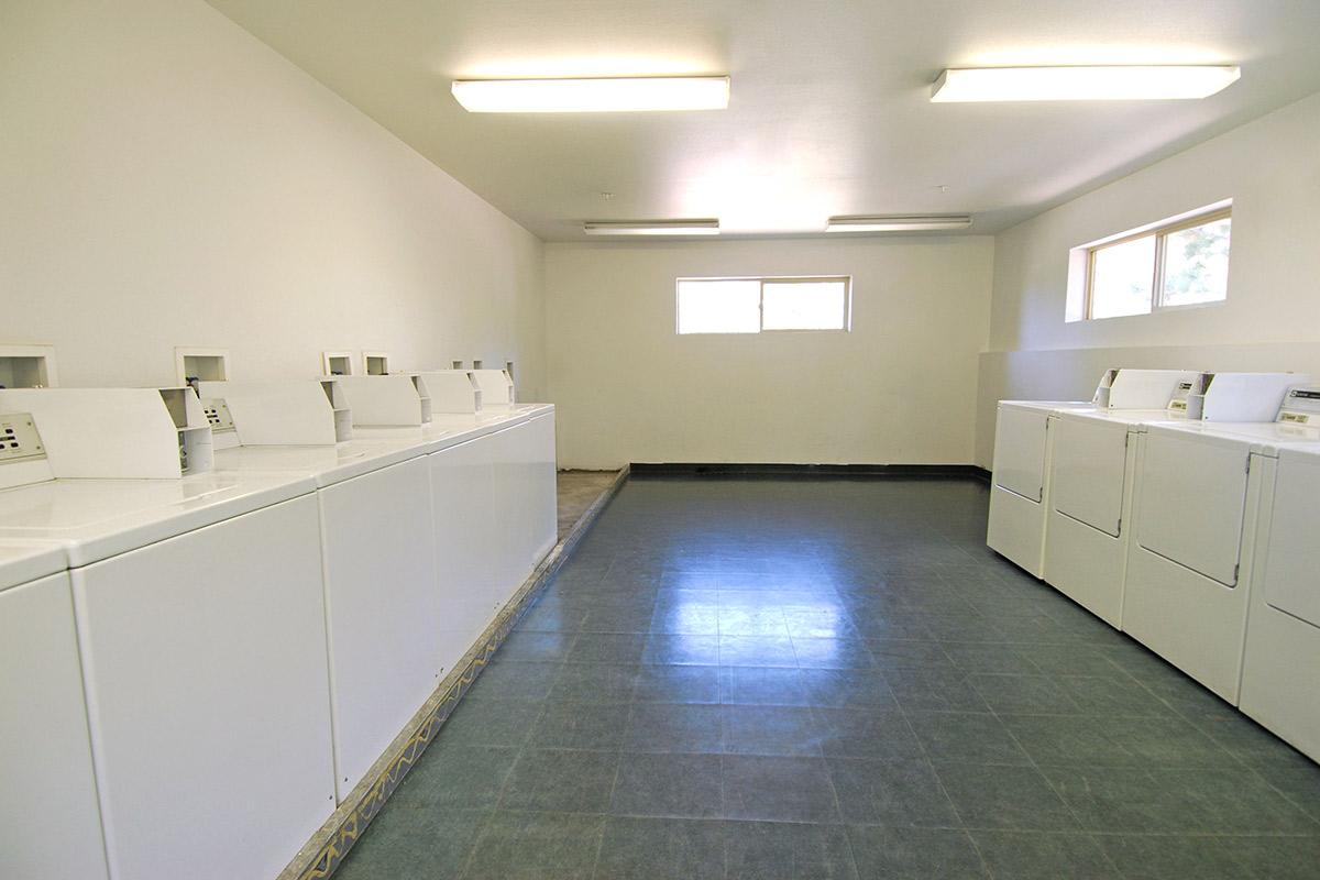 A clean and bright laundry room featuring several rows of white washing machines and dryers along the walls. The space has a light-colored tiled floor and large windows allowing natural light to enter, creating an airy atmosphere. The walls are plain, emphasizing the functional nature of the room.